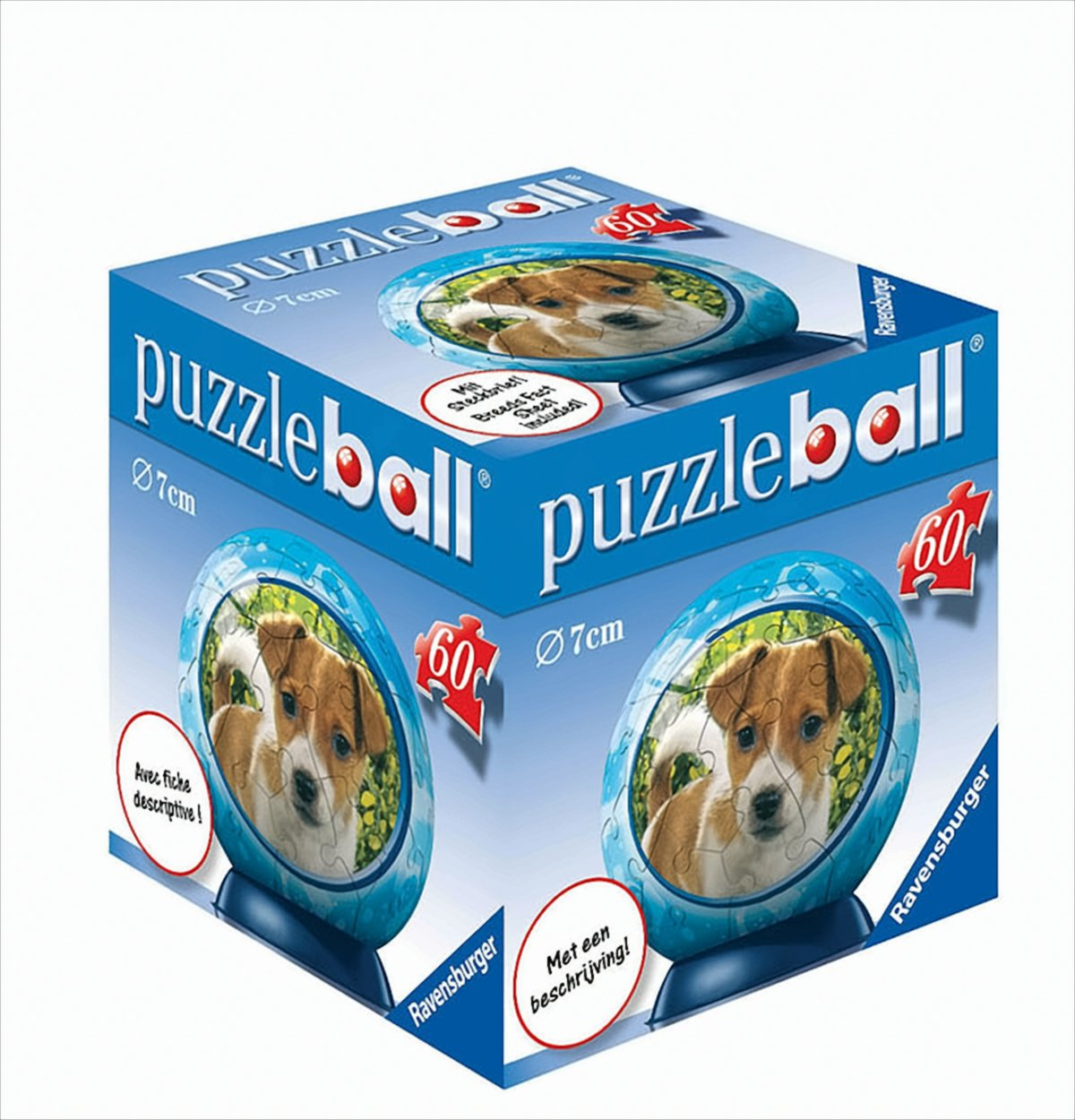 Eine blaue Ravensburger Puzzleball Schachtel mit einem Jack Russell Terrier Welpen Motiv und 60 Teilen.