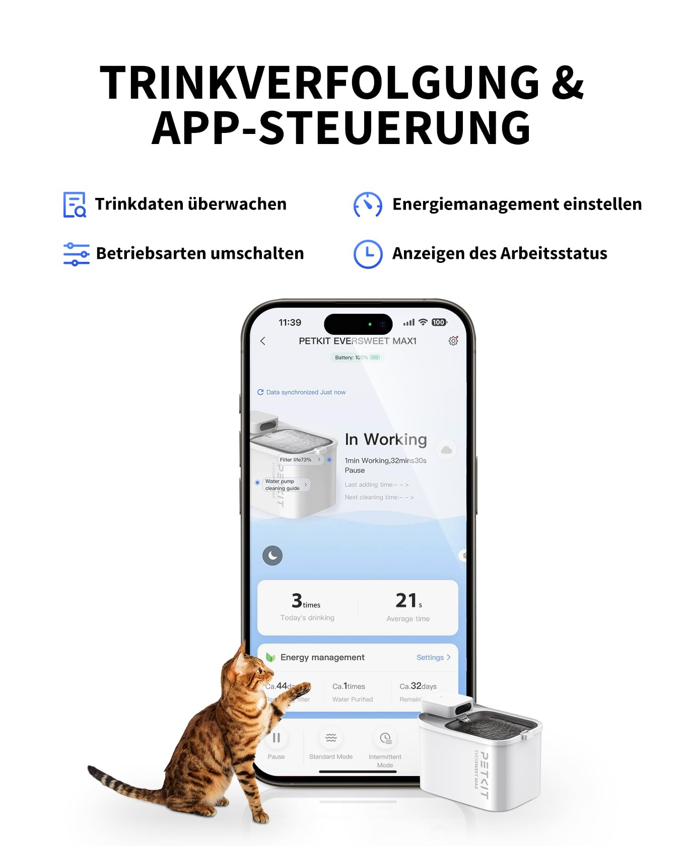 Eine Katze steht neben einem Smartphone, das eine App für einen petkit Trinkbrunnen anzeigt.