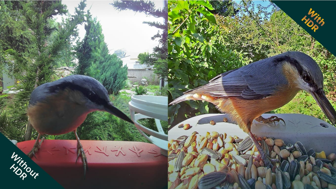 Vergleich zweier Vogelbilder; links ohne HDR, rechts mit HDR-Effekt auf einem Vogelfutterspender.