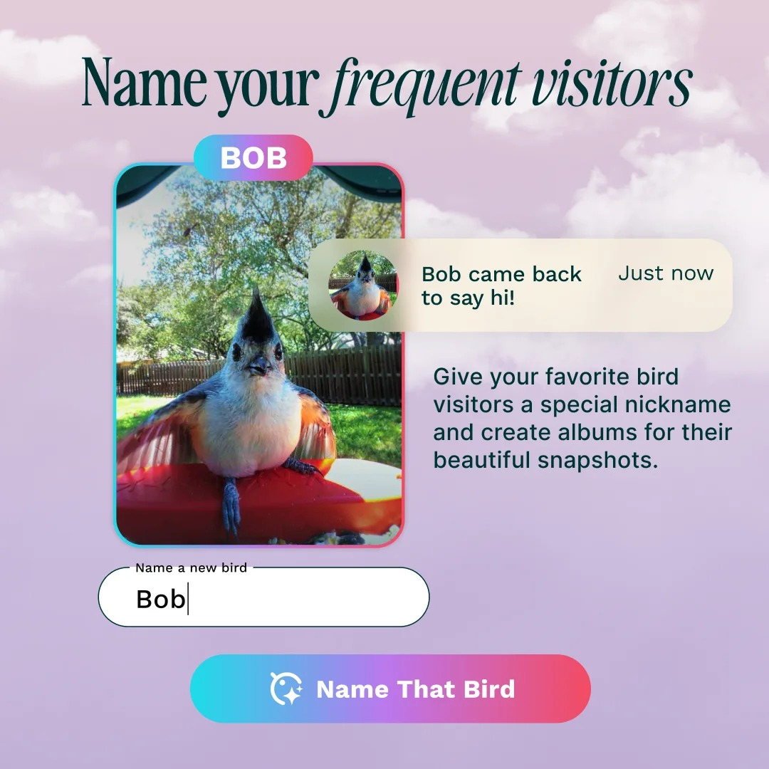 App-Schnittstelle zum Benennen von Vogelsuchern, mit einem gefiederten Vogel und Text.