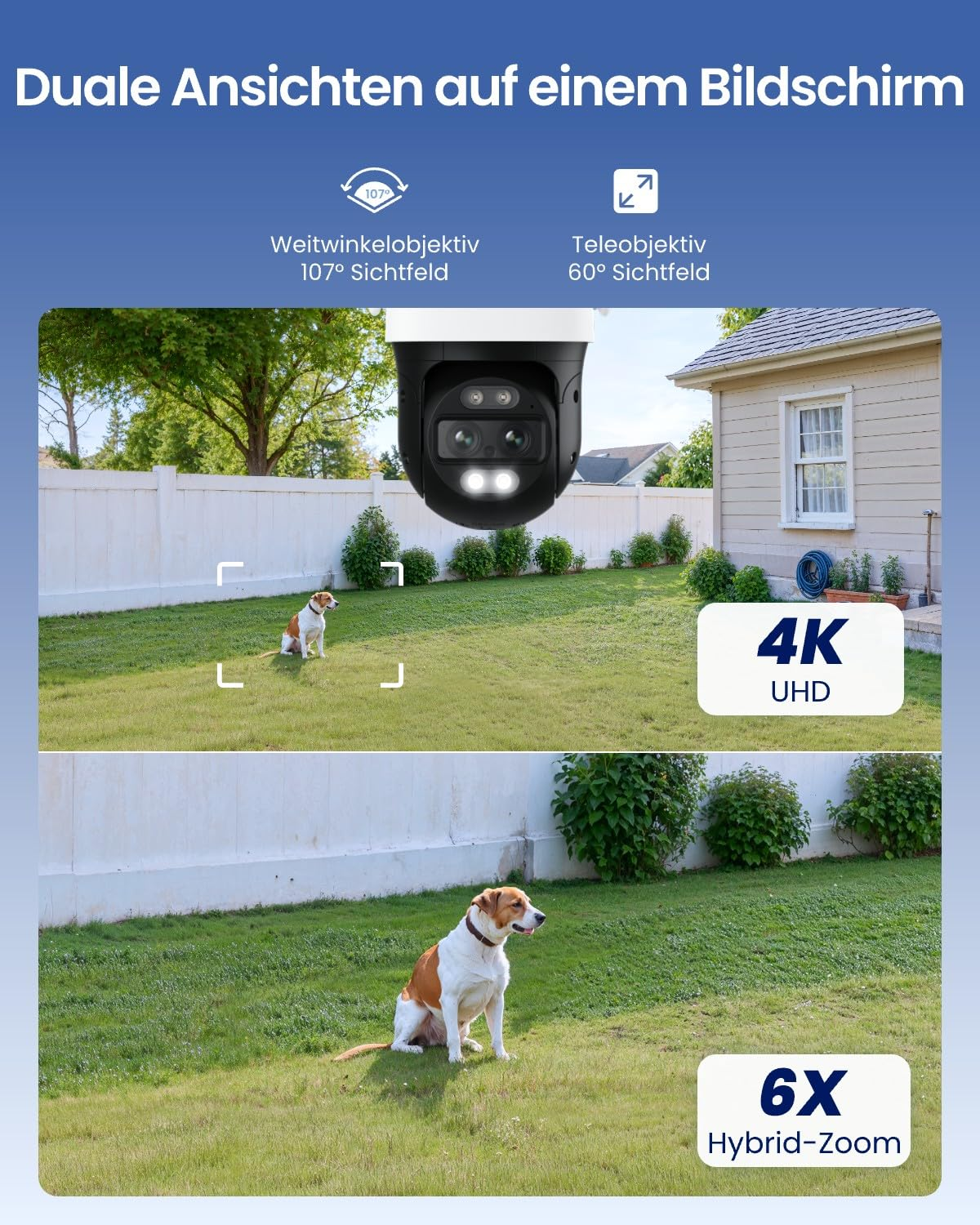 Caméra de sécurité montrant une vue partagée grand-angle et zoom 6x sur un chien dans un jardin.