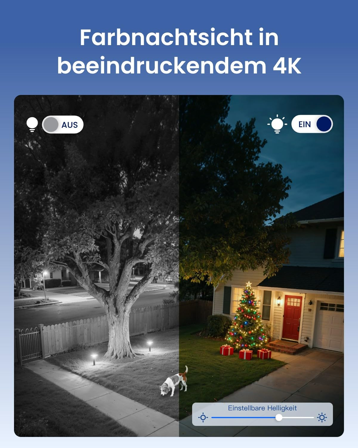 Comparaison de la vision nocturne en noir et blanc et en couleur avec un sapin de Noël illuminé.