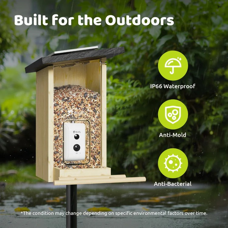 Comedero de madera impermeable con cámara y semillas bajo la lluvia.