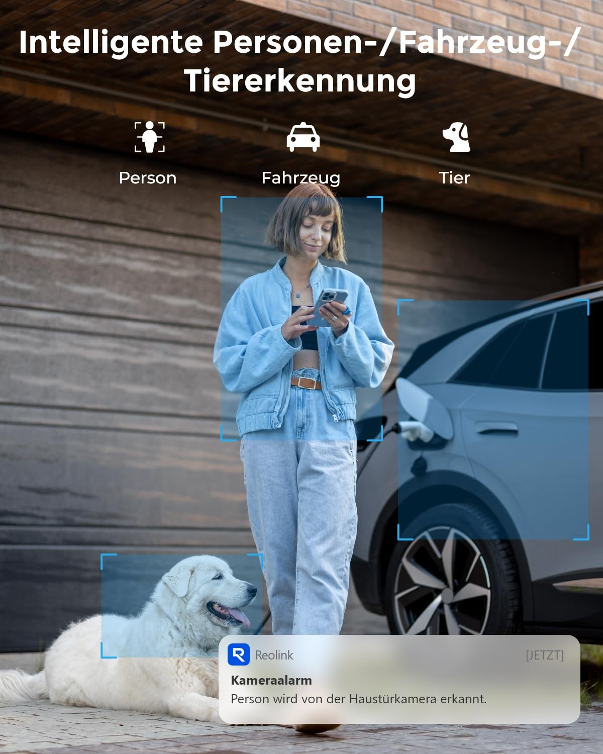 Rilevamento intelligente di persone, veicoli e animali con donna, auto e cane.