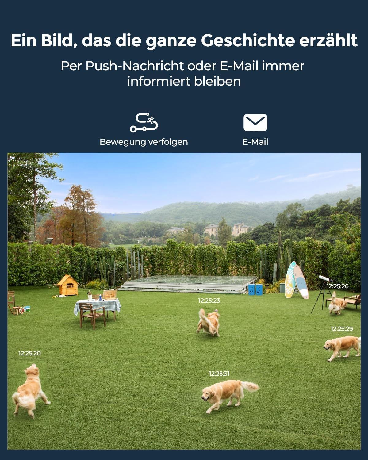Golden Retriever giocano su un prato con tracciamento movimenti ed email.