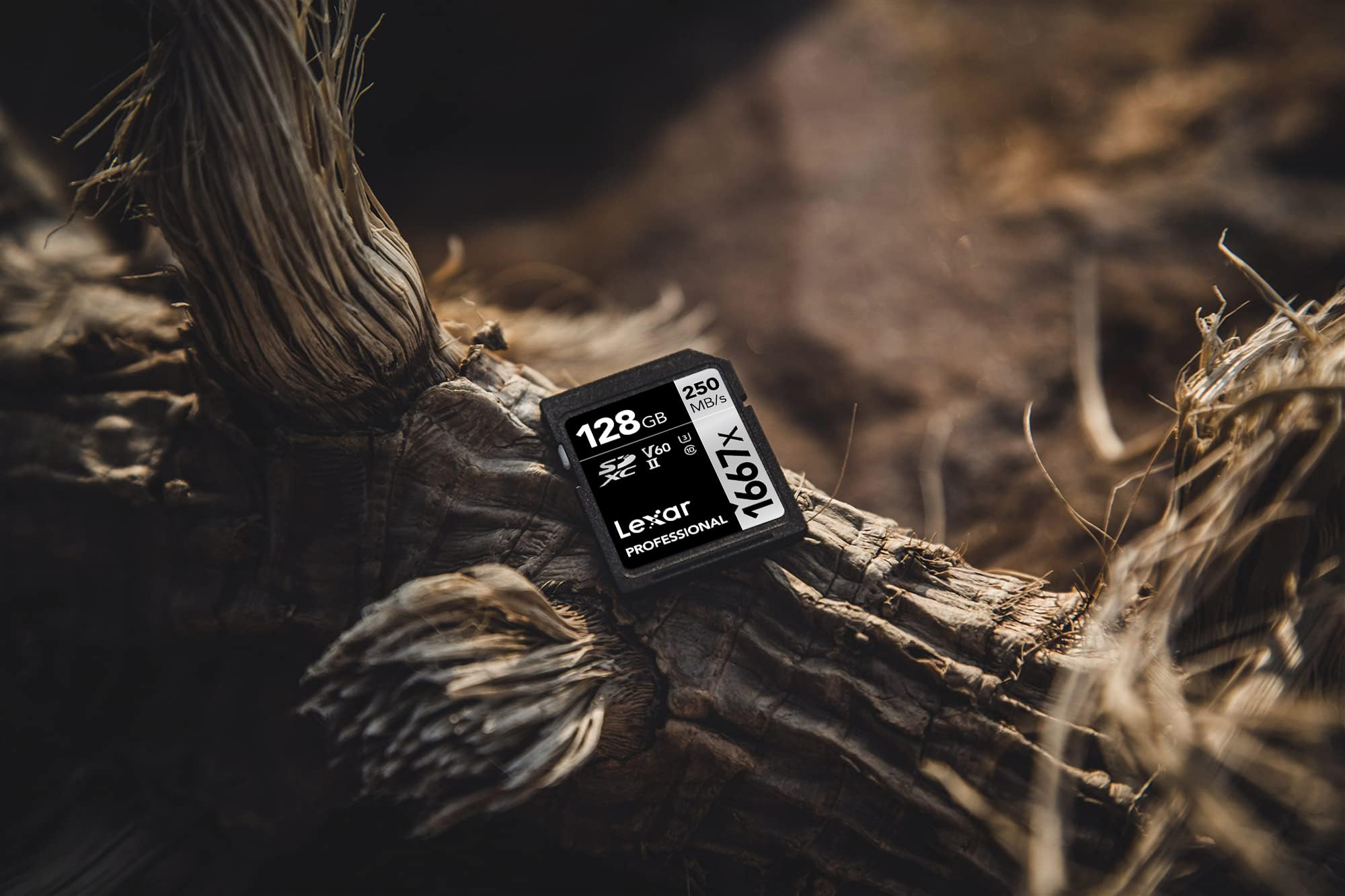 Une carte SD Lexar 128 Go repose sur un tronc d'arbre patiné à l'extérieur.