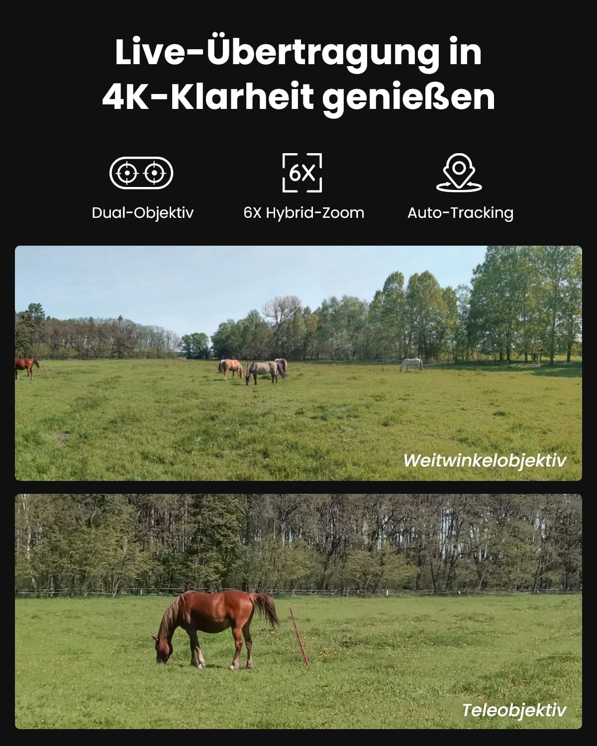 Comparaison de vues grand angle et téléobjectif de chevaux avec fonctions ci-dessus.