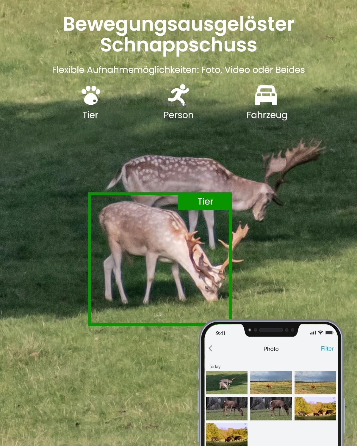 Interface d'application de détection de mouvement avec animaux et galerie.