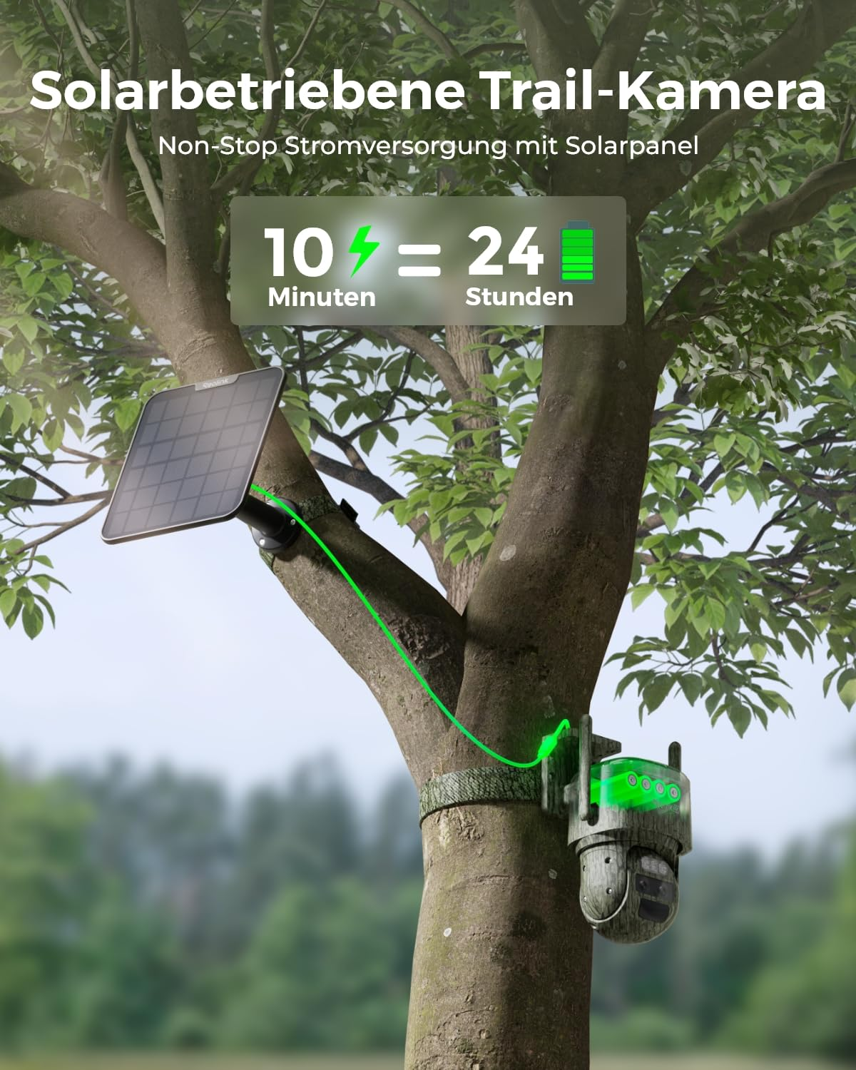 Caméra de chasse solaire montée sur un arbre avec panneau solaire et câble vert.