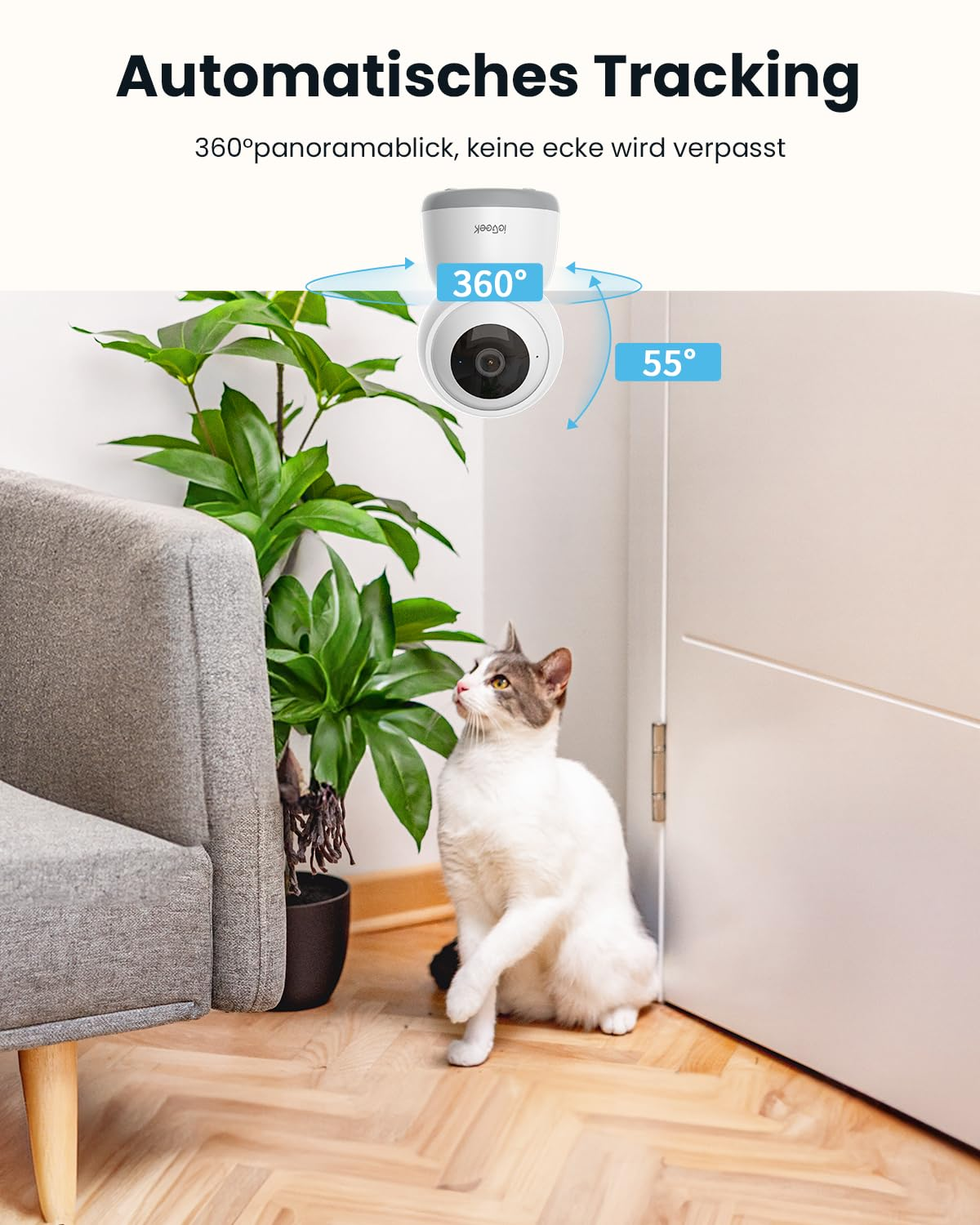 Une caméra de sécurité murale montre un suivi à 360 degrés tandis qu'un chat est assis en dessous.