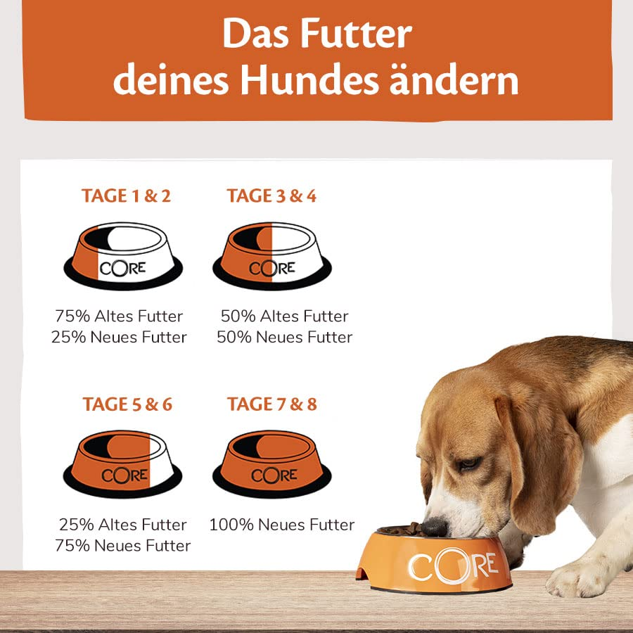 Eine Infografik zur Hundefutterumstellung mit Futternäpfen und Prozenten sowie ein Beagle beim Fressen.