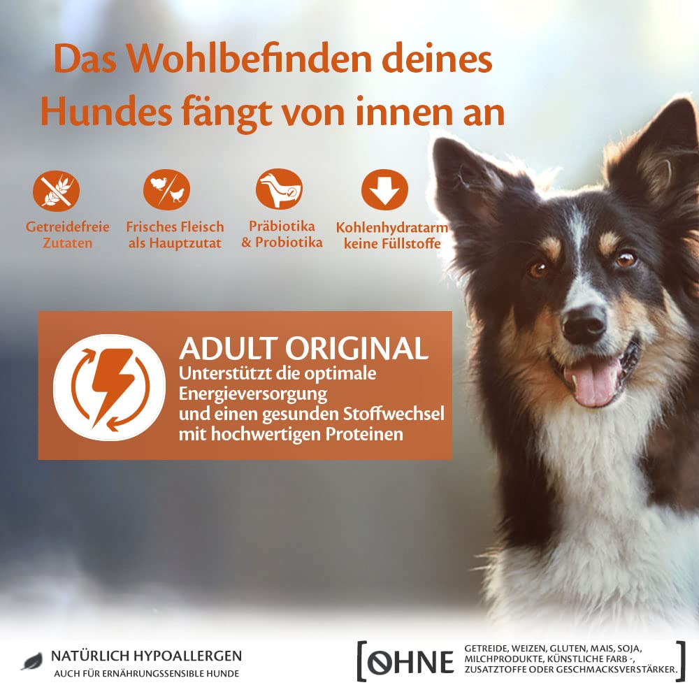 Glücklicher Hund mit Text über gesundes Hundefutter und Inhaltsstoffen.