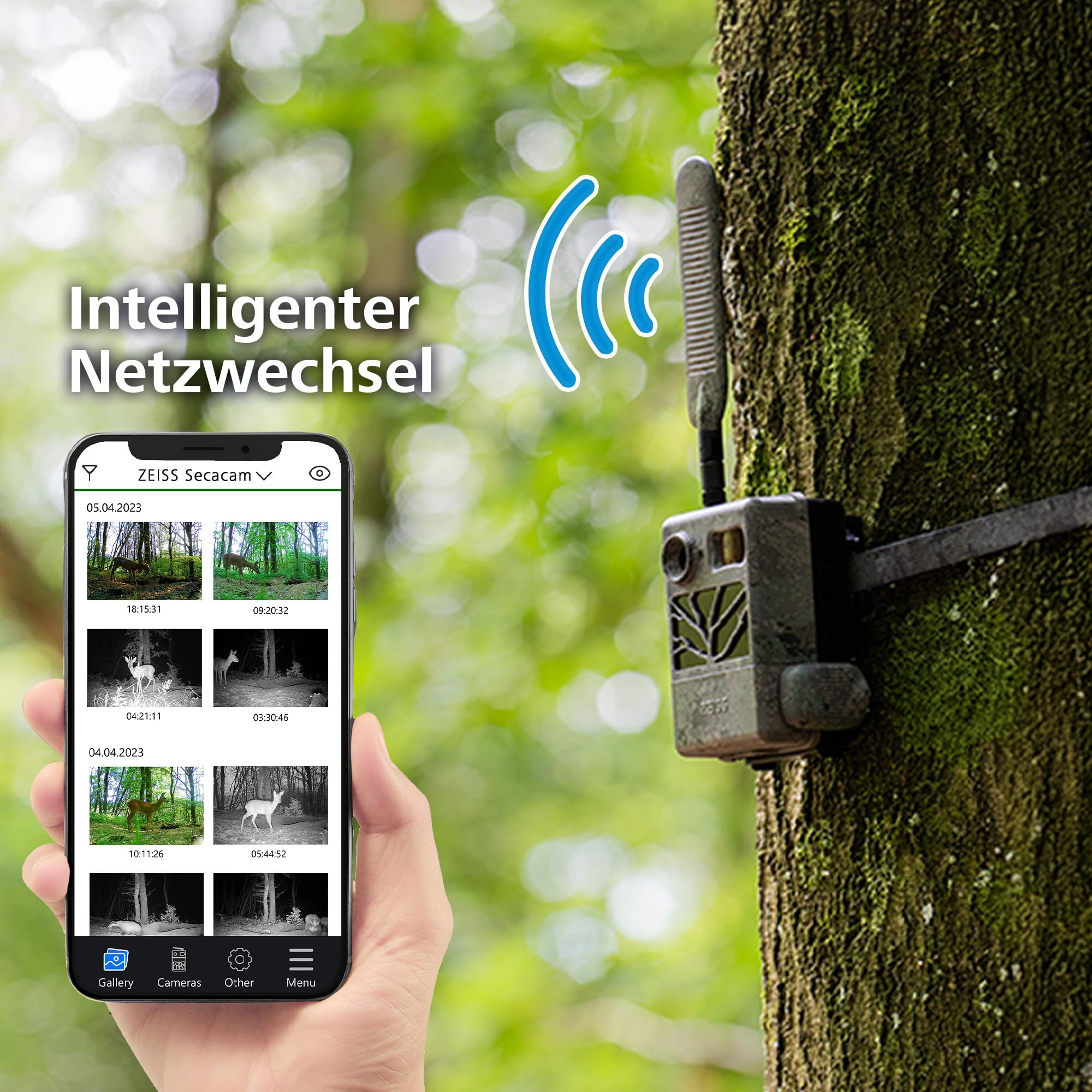 Eine Wildkamera an einem Baum sendet Signale an eine Smartphone-App mit Fotos von Tieren im Wald.