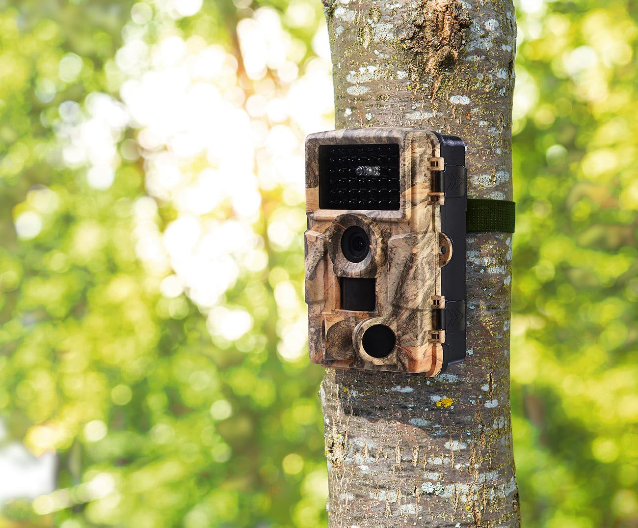 Eine Tarnfarben-Wildkamera ist mit einem grünen Gurt an einem Baumstamm im Wald befestigt.