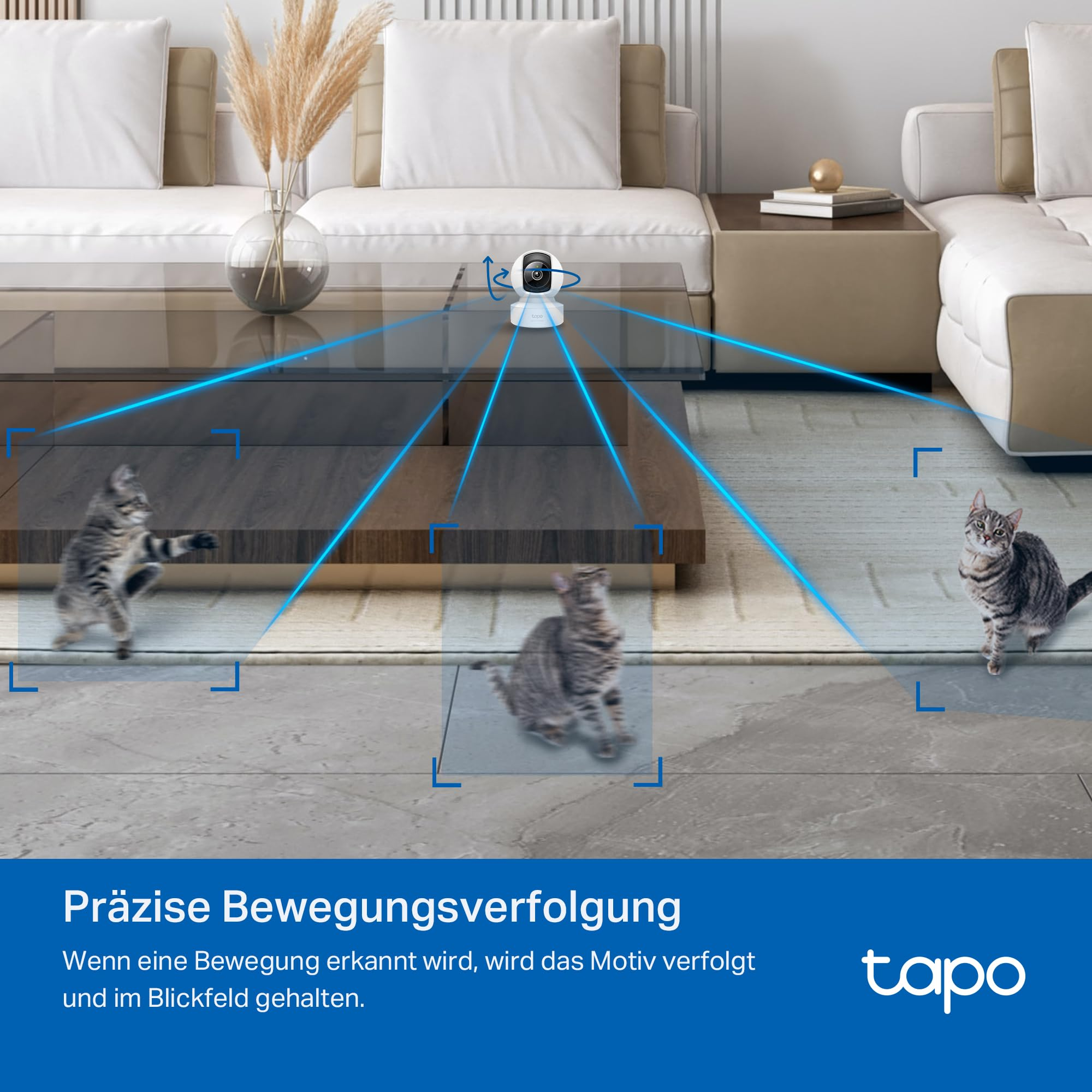 Une caméra de sécurité blanche sur une table basse suit trois chats se déplaçant sur un tapis.