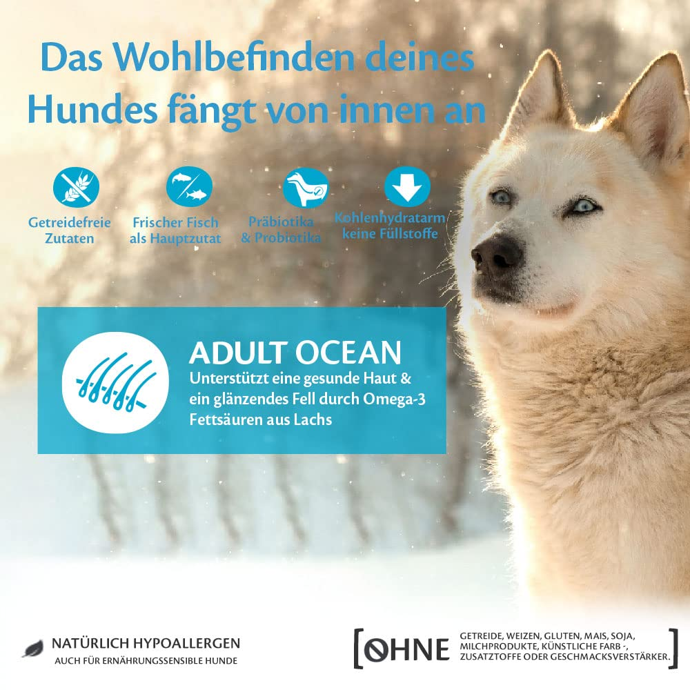 Ein weißer Hund im Schnee mit deutschem Text über Adult Ocean Hundefutter.
