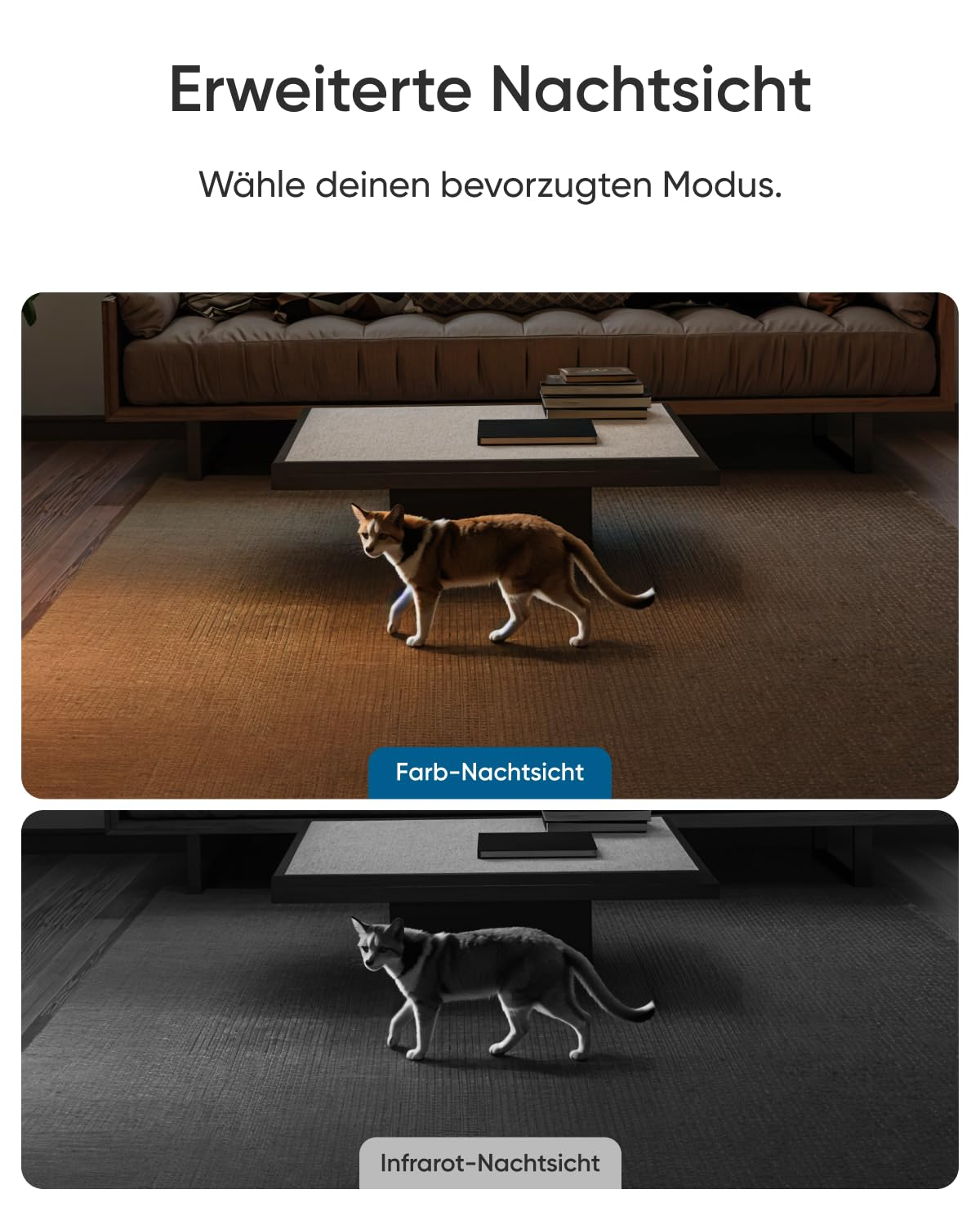 Comparaison de deux modes de vision nocturne: un en couleur, l'autre en infrarouge avec un chat.