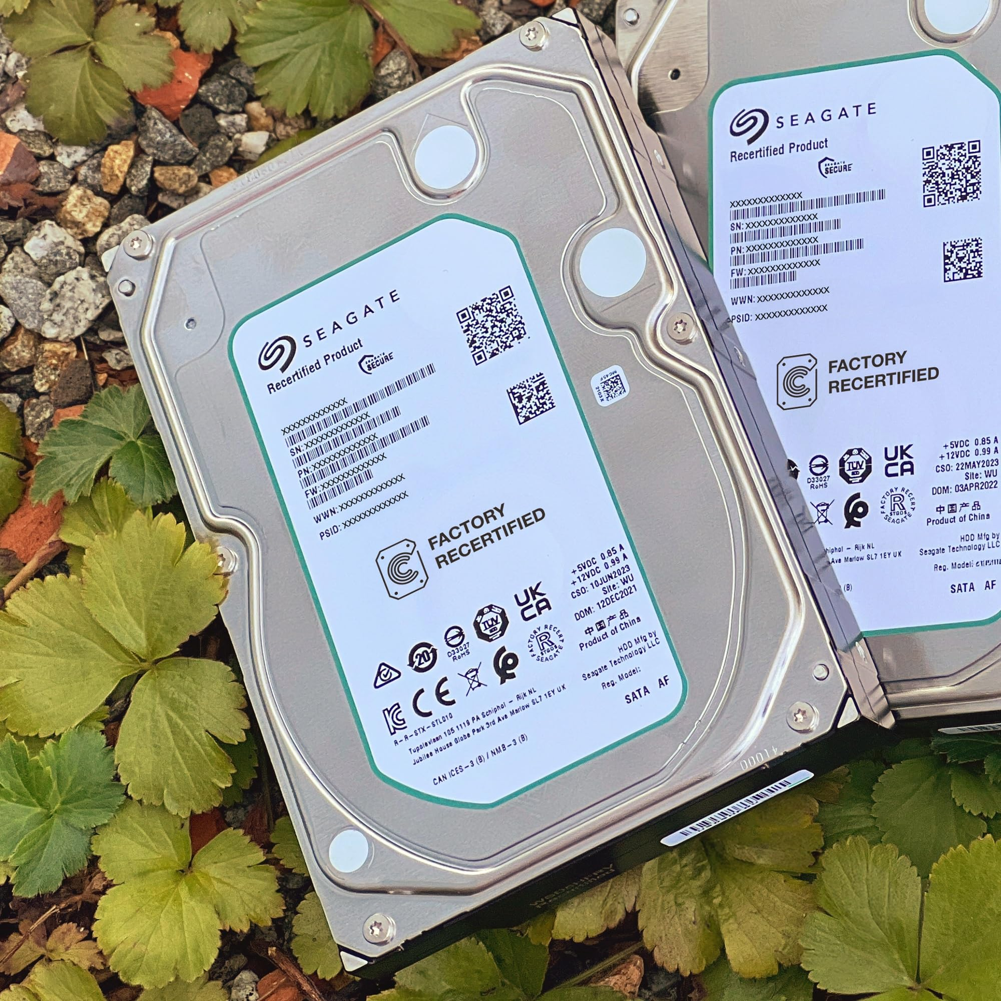 Due hard disk Seagate ricondizionati in fabbrica sul terreno della foresta.