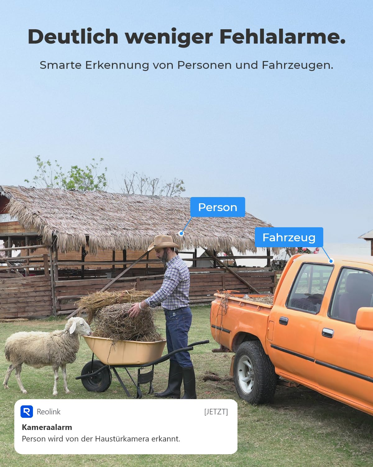 Un agricoltore con carriola e pecora vicino a un pick-up arancione davanti a un capanno.
