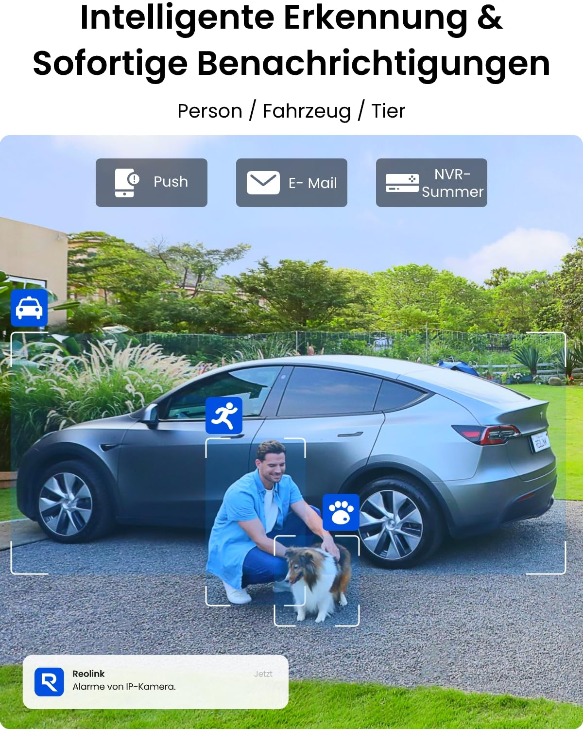 Un uomo e un cane vengono rilevati vicino a un'auto, con icone che mostrano il rilevamento di persone, veicoli e animali.