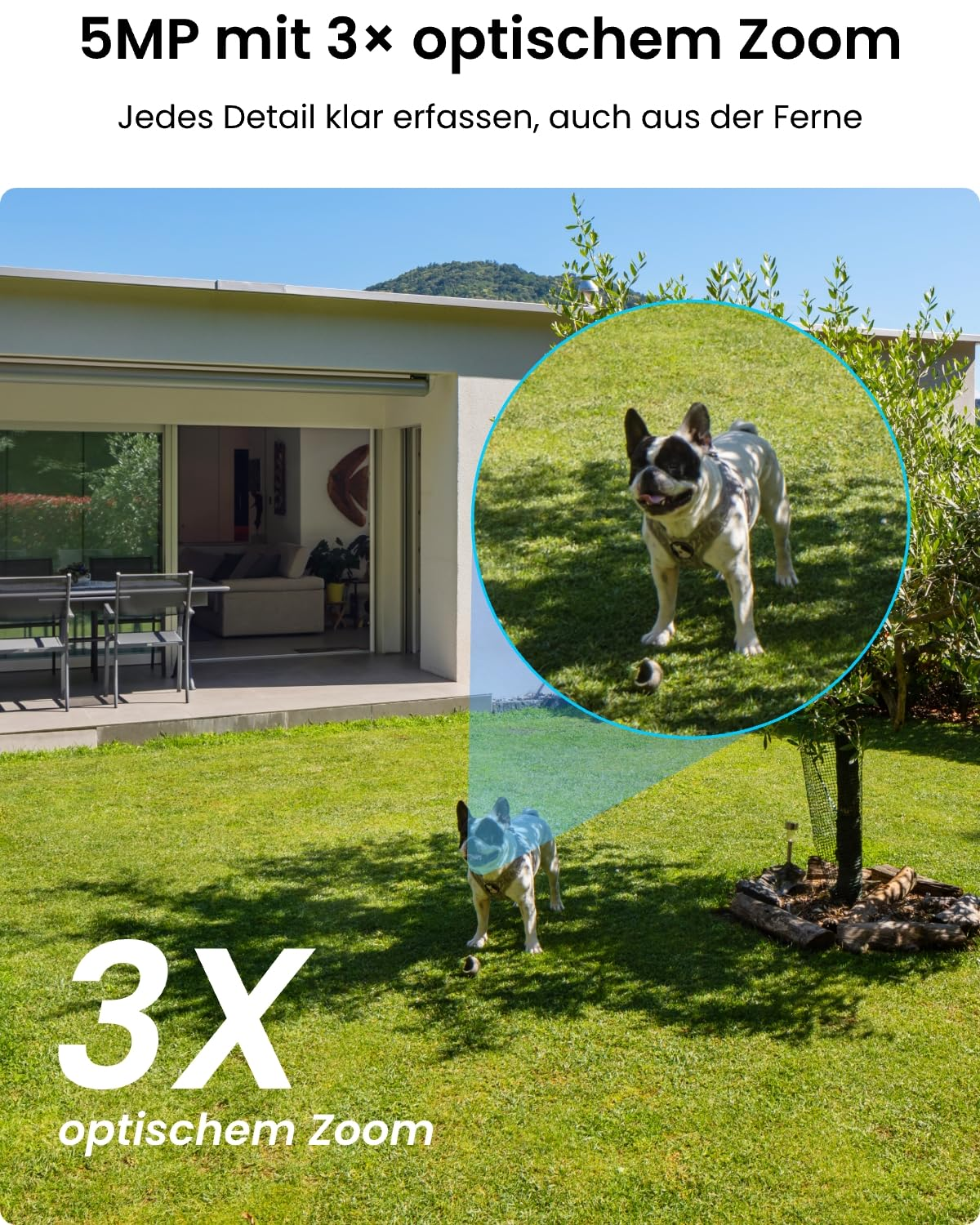 Un cane sul prato è mostrato con una lente d'ingrandimento rotonda e la scritta zoom ottico 3X.