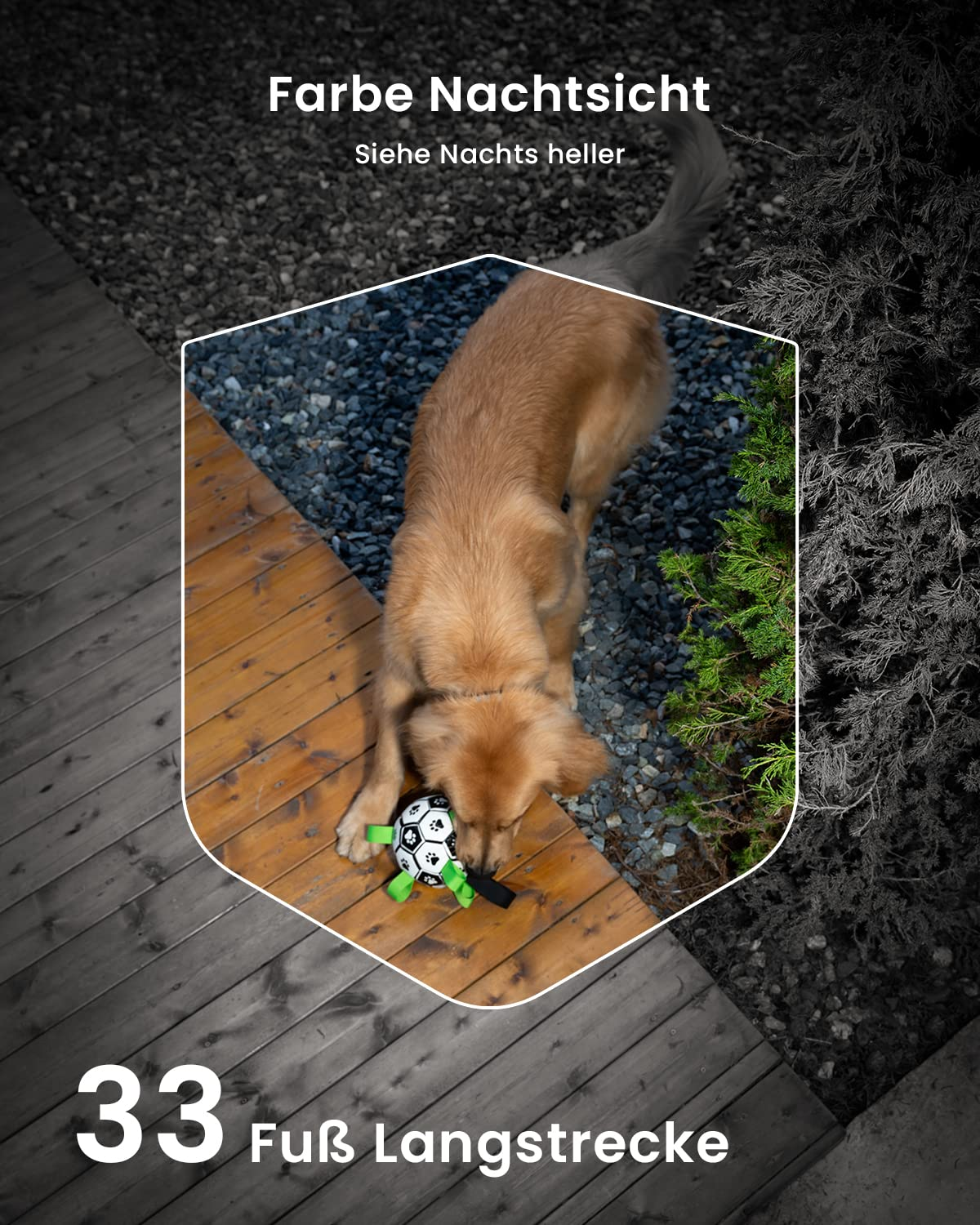 Un golden retriever gioca con un pallone bianco e nero con dettagli verdi su una terrazza in legno di notte.