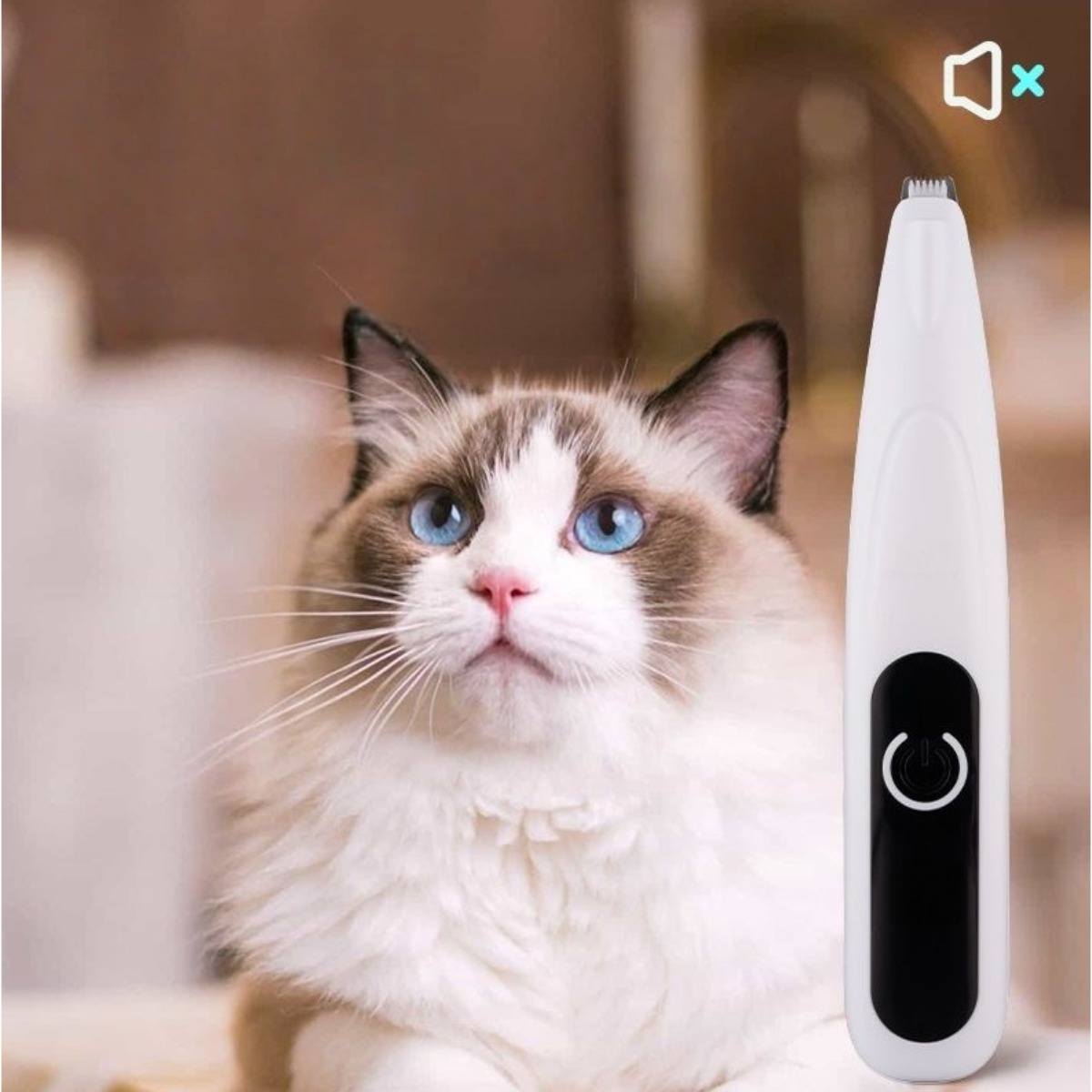 Eine weiße Katze mit blauen Augen sitzt neben einem elektrischen Haarschneider.