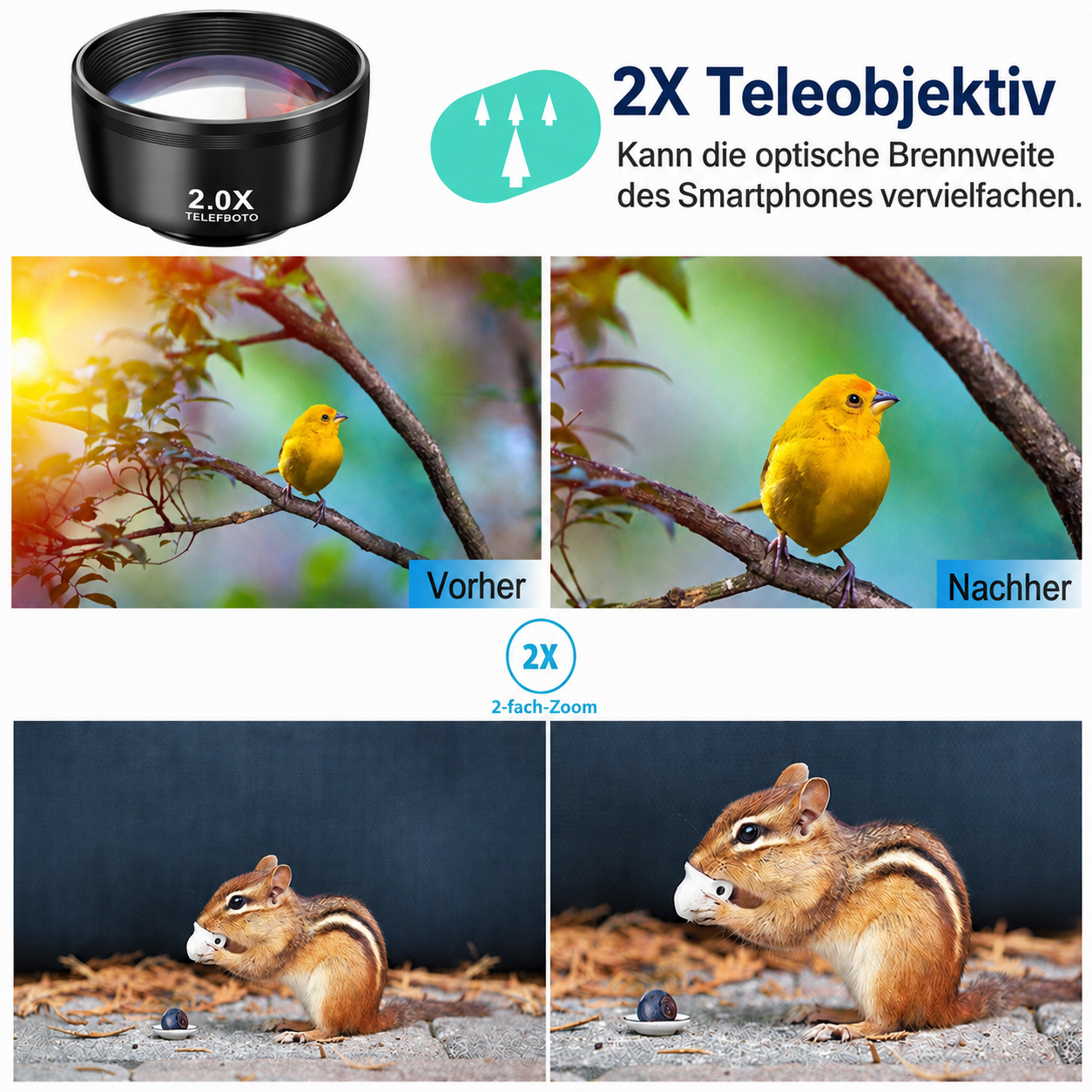 Vergleichsbilder vor und nach der Nutzung eines 2X Teleobjektivs für Smartphones mit einem gelben Vogel und einem Eichhörnchen.