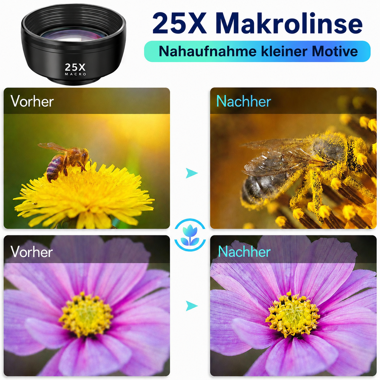 Vergleichsbilder zeigen die verbesserte Detailgenauigkeit und Vergrößerung einer 25x Makrolinse bei Blumen und Bienen.