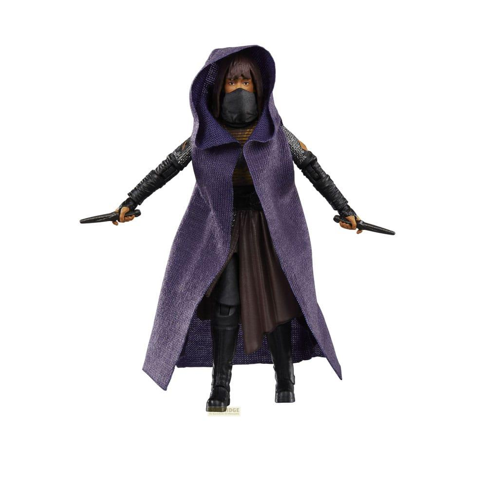 Eine Actionfigur in violettem Umhang und Kapuze trägt eine Gesichtsmaske und hält in jeder Hand ein Schwert.