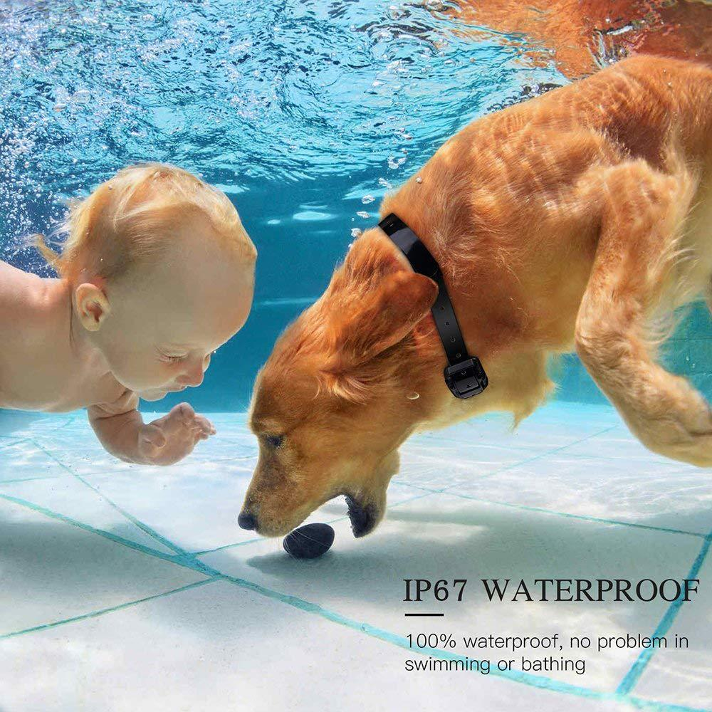 Ein Baby und ein goldener Hund schwimmen unter Wasser in einem Pool mit Text.