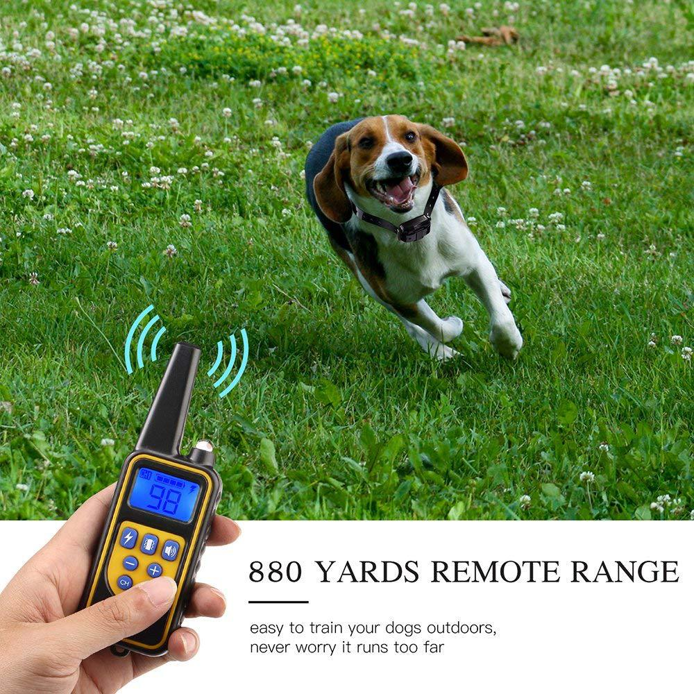 Hand hält eine gelbe Hunde-Trainingsfernbedienung mit Antenne, während ein BeagluHund fröhlich im Gras läuft.