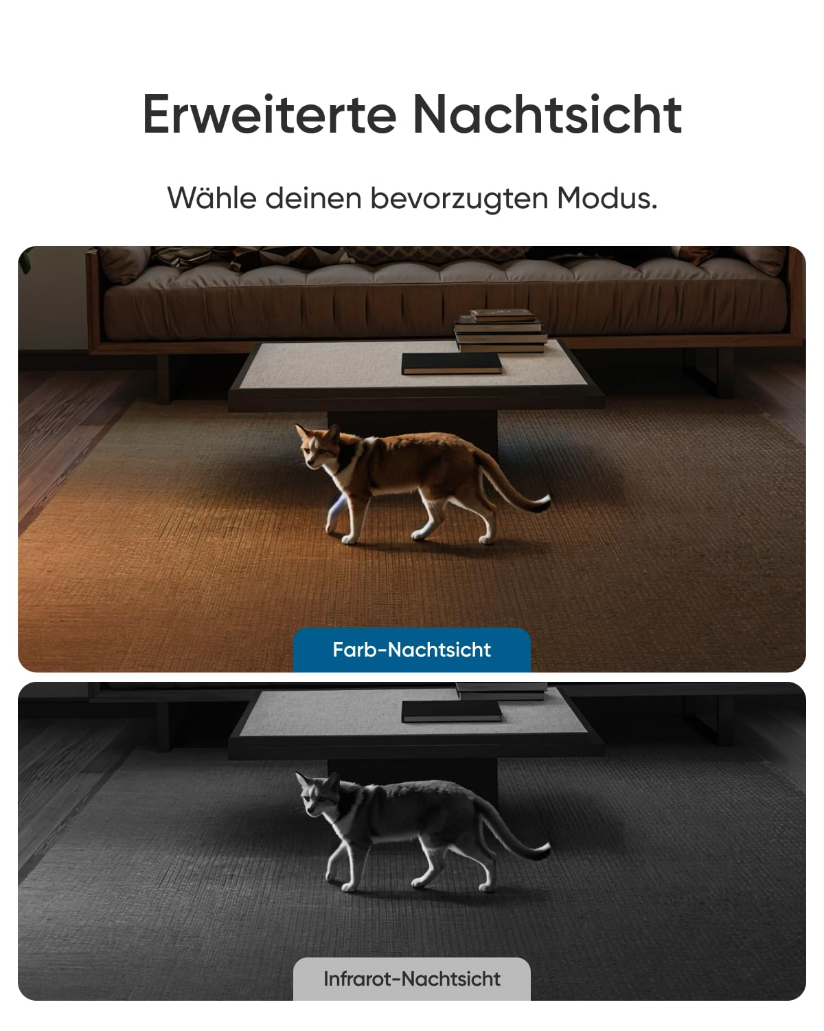 Comparaison de deux modes de vision nocturne avec un chat marchant sur un tapis.