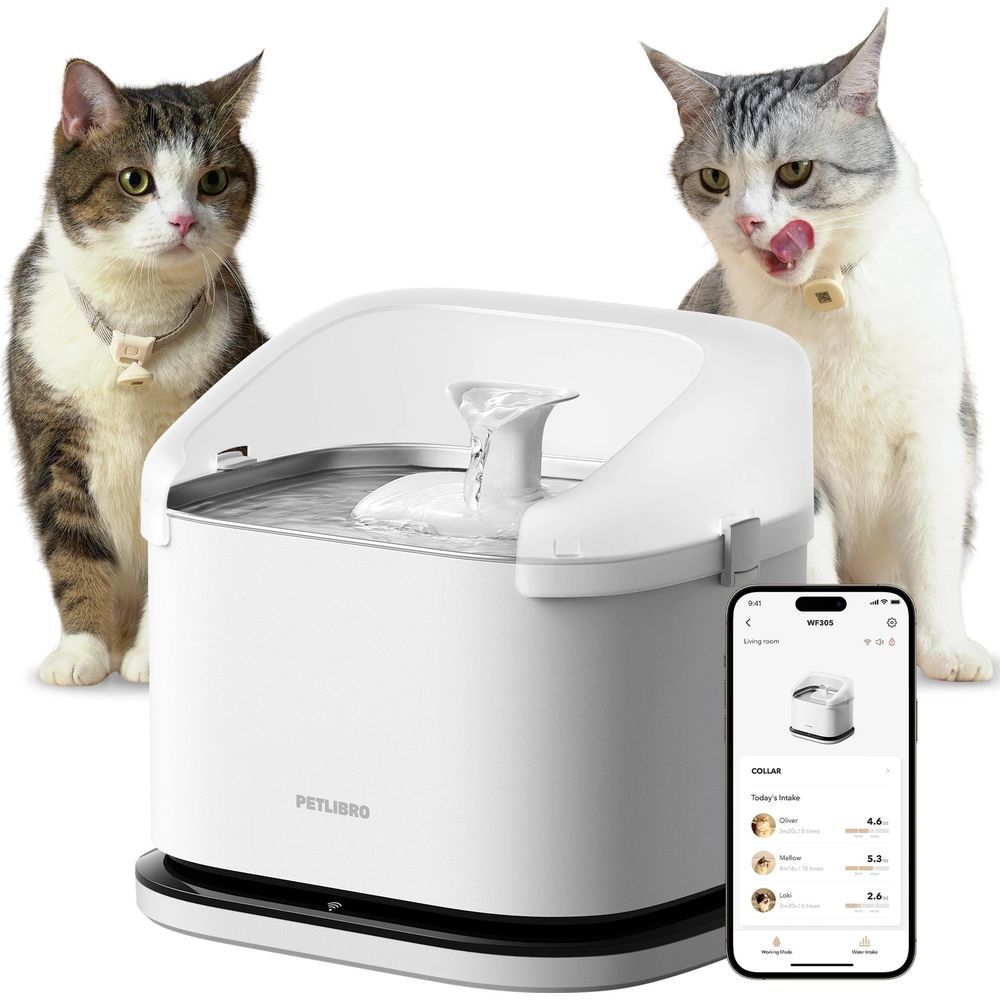 Zwei Katzen neben einem weißen Petlibro-Trinkbrunnen und einem Smartphone mit App-Oberfläche.