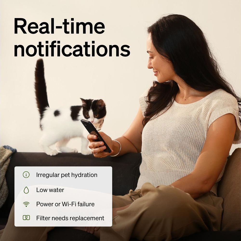 Eine Frau sitzt auf einem Sofa und schaut auf ihr Smartphone, während eine schwarz-weiße Katze daneben steht.