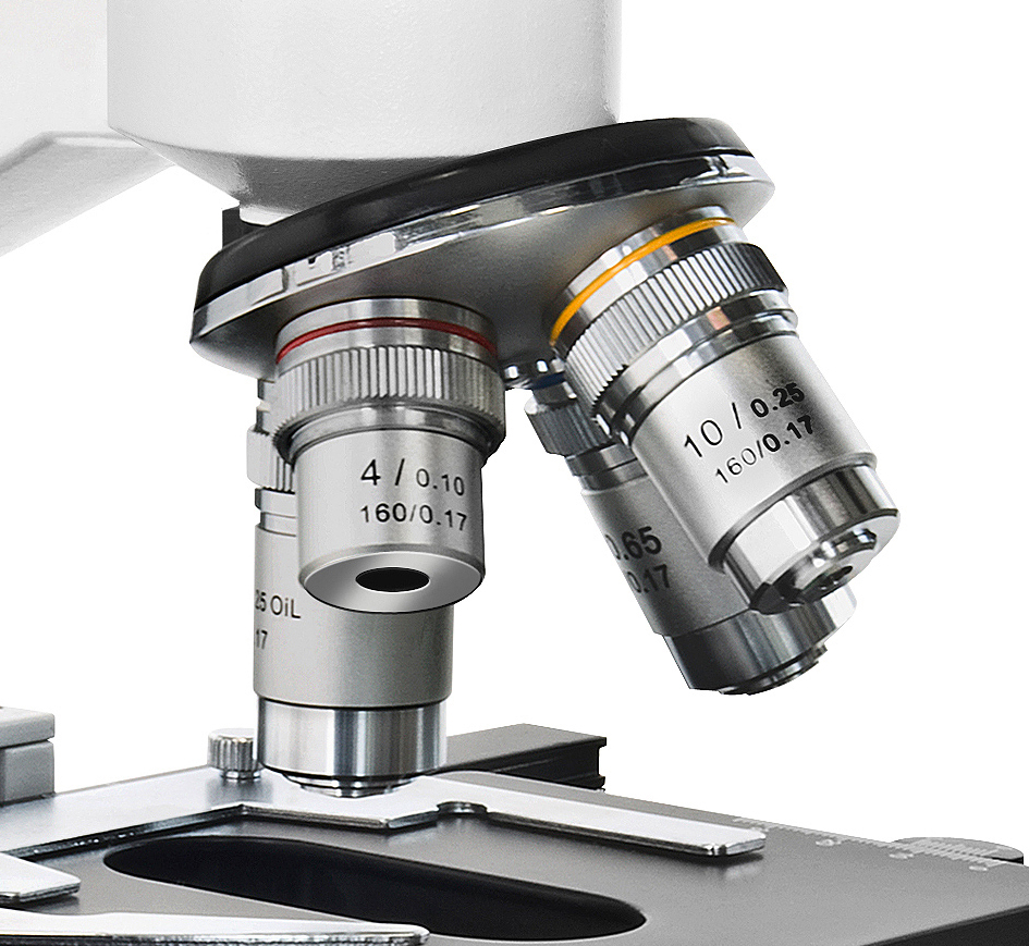 Primer plano de los objetivos de un microscopio plateado sobre una platina negra con fondo blanco.