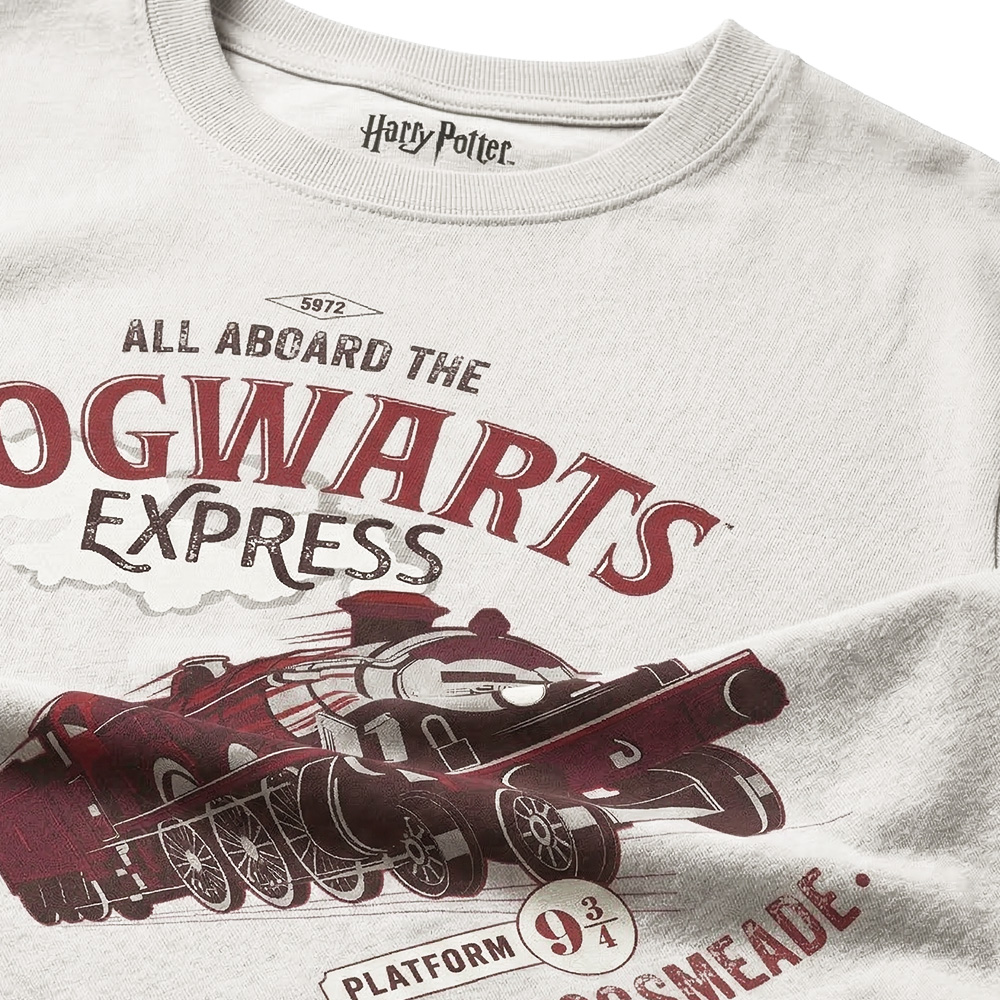 Ein hellgraues T-Shirt mit rotem Hogwarts-Express-Motiv und Harry-Potter-Logo am Kragen.