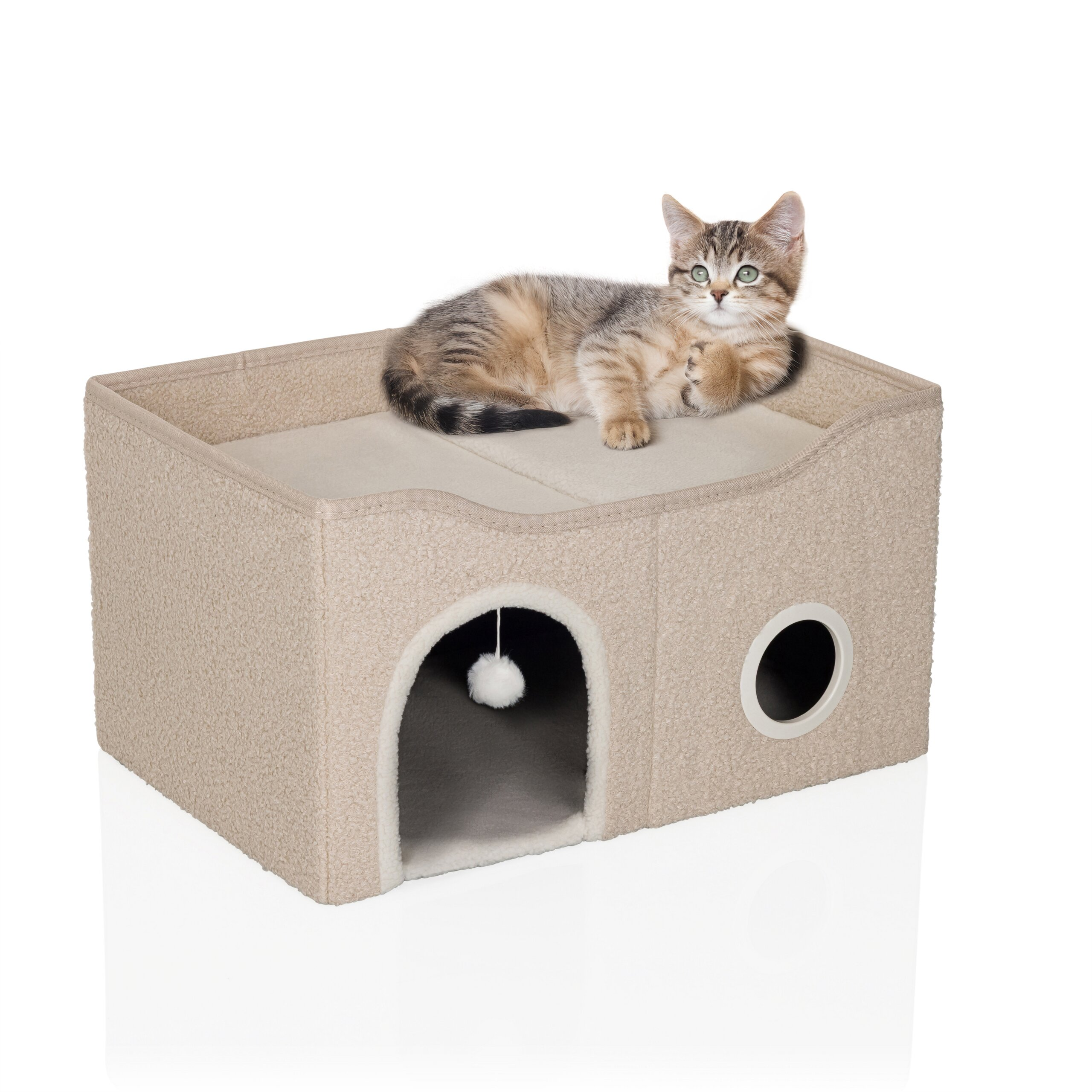 Ein süßes gestreiftes Kätzchen ruht auf einem beige Katzenwürfel mit einem Spielball im Inneren auf weißem Hintergrund.