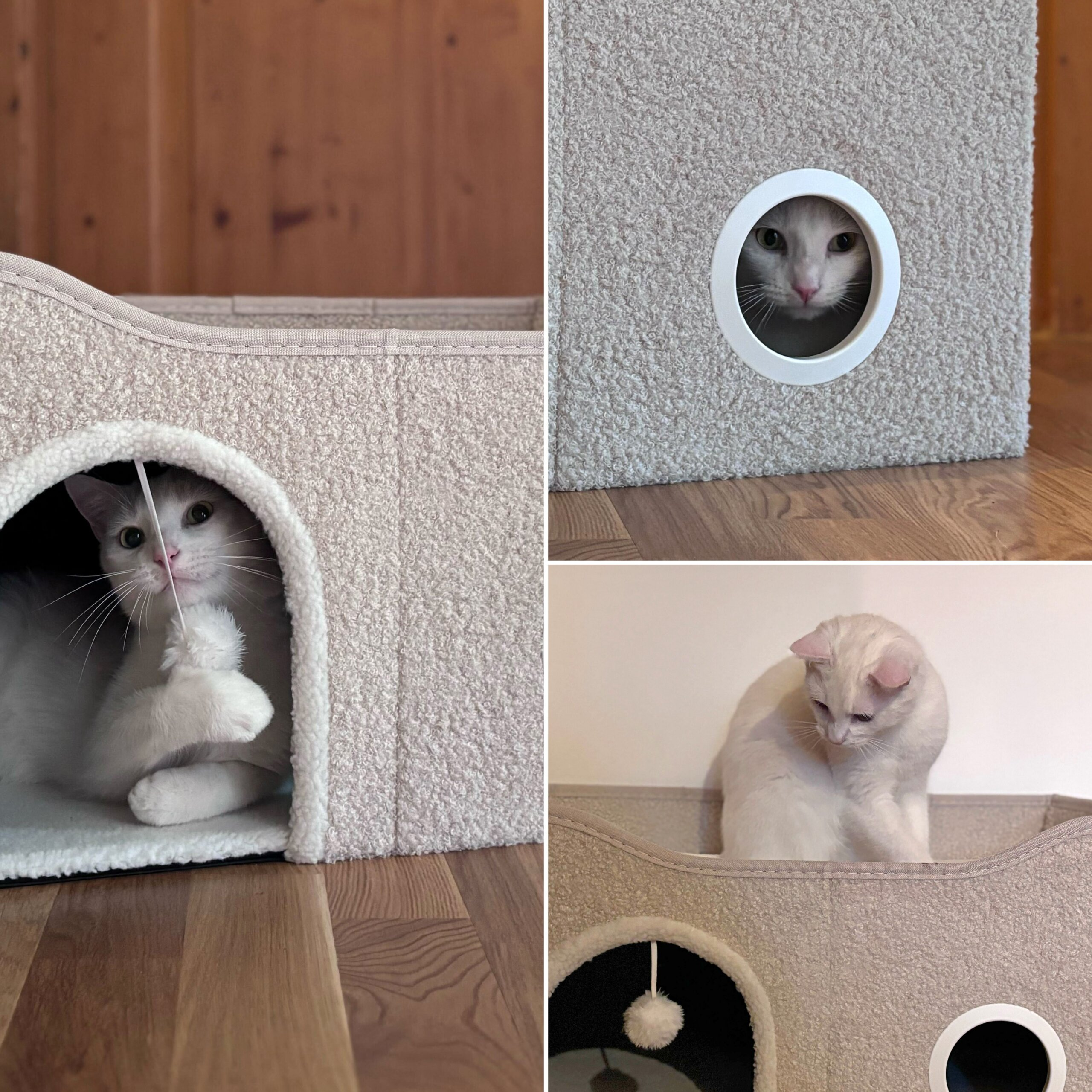 Eine weiße Katze in, vor und auf einem beigen Katzenhaus.