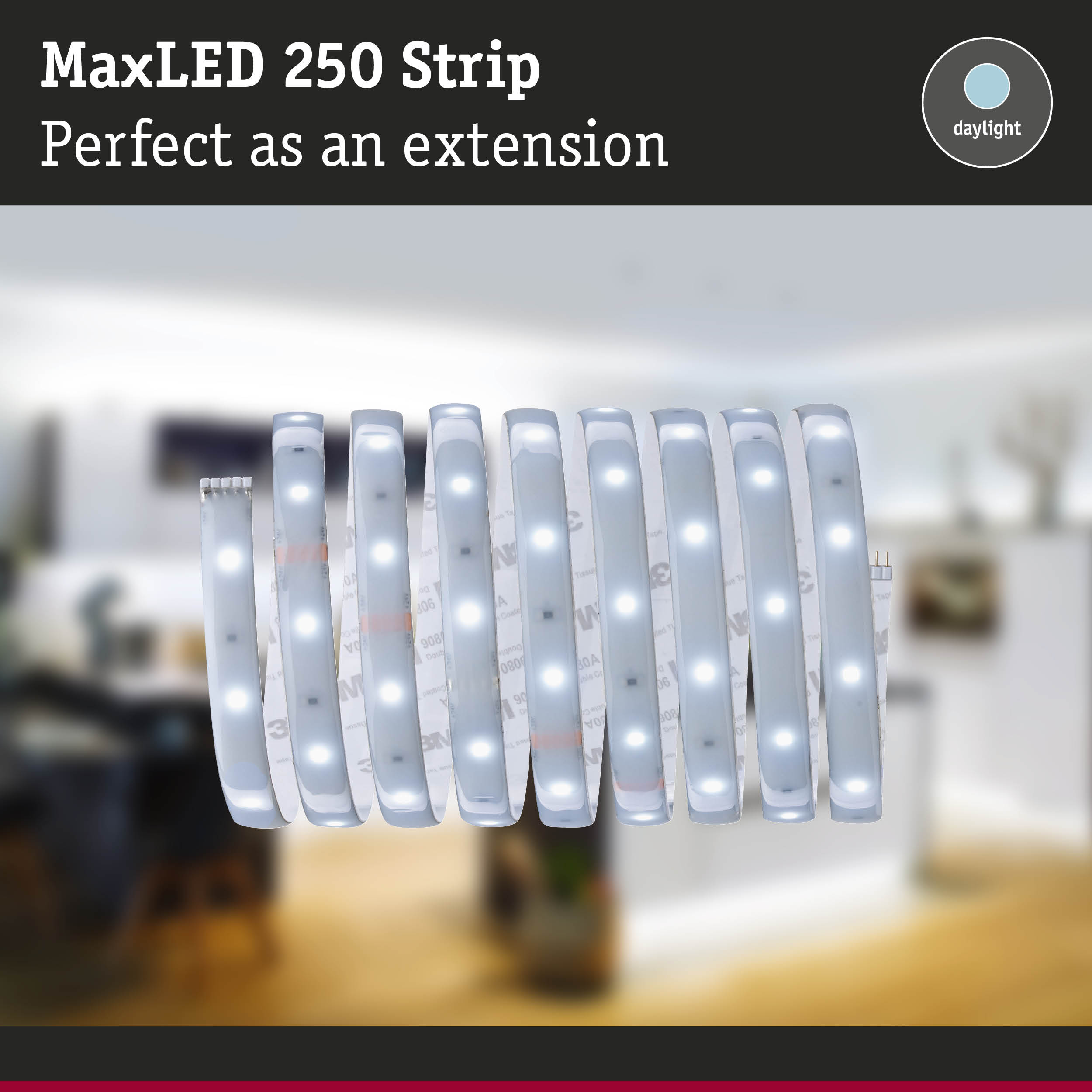 Aufgerollter MaxLED 250 Streifen mit hellem Tageslicht, ideal als Erweiterung.