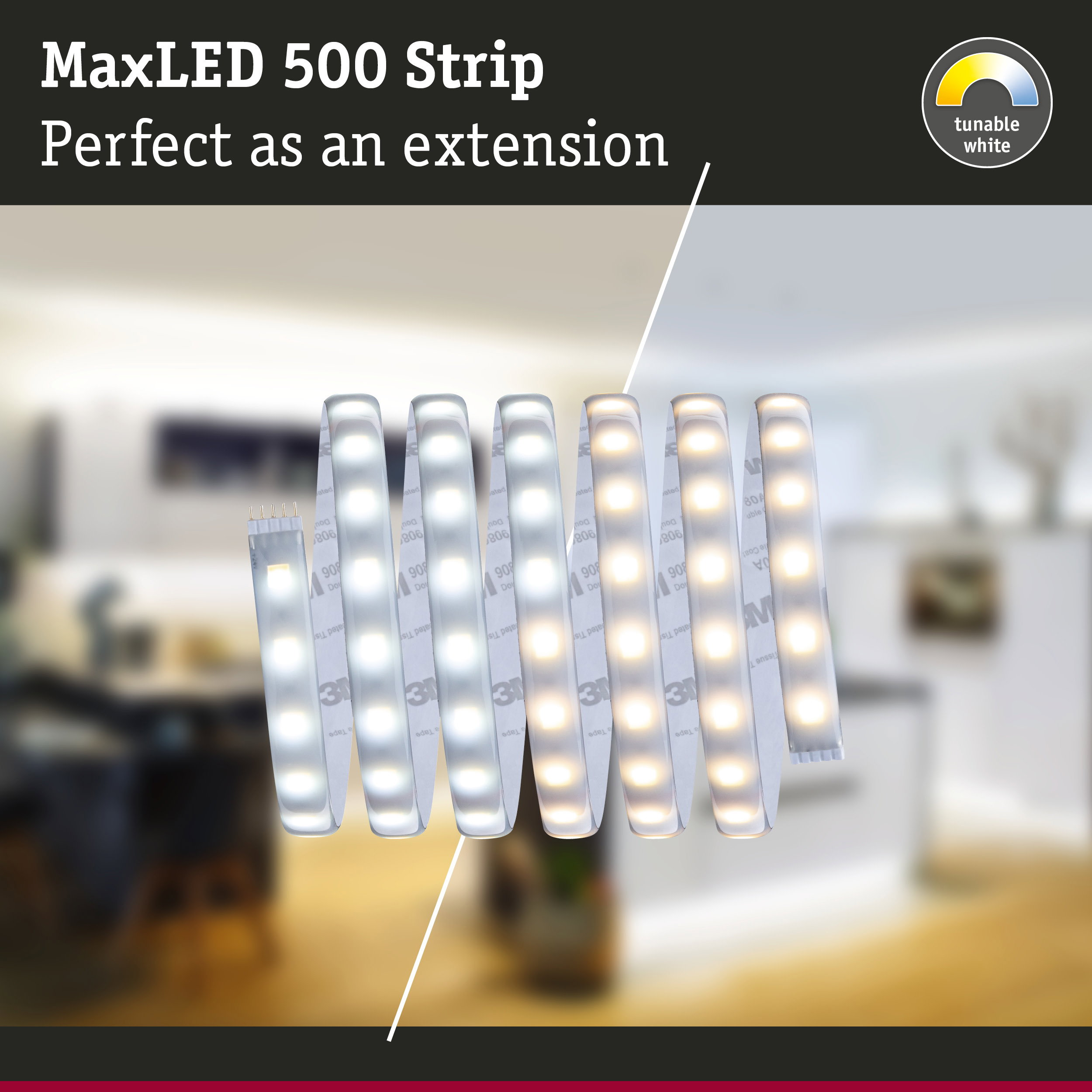 MaxLED 500 Strip mit einstellbarem Weißlicht in kühlen und warmen Tönen vor verschwommenem Hintergrund.