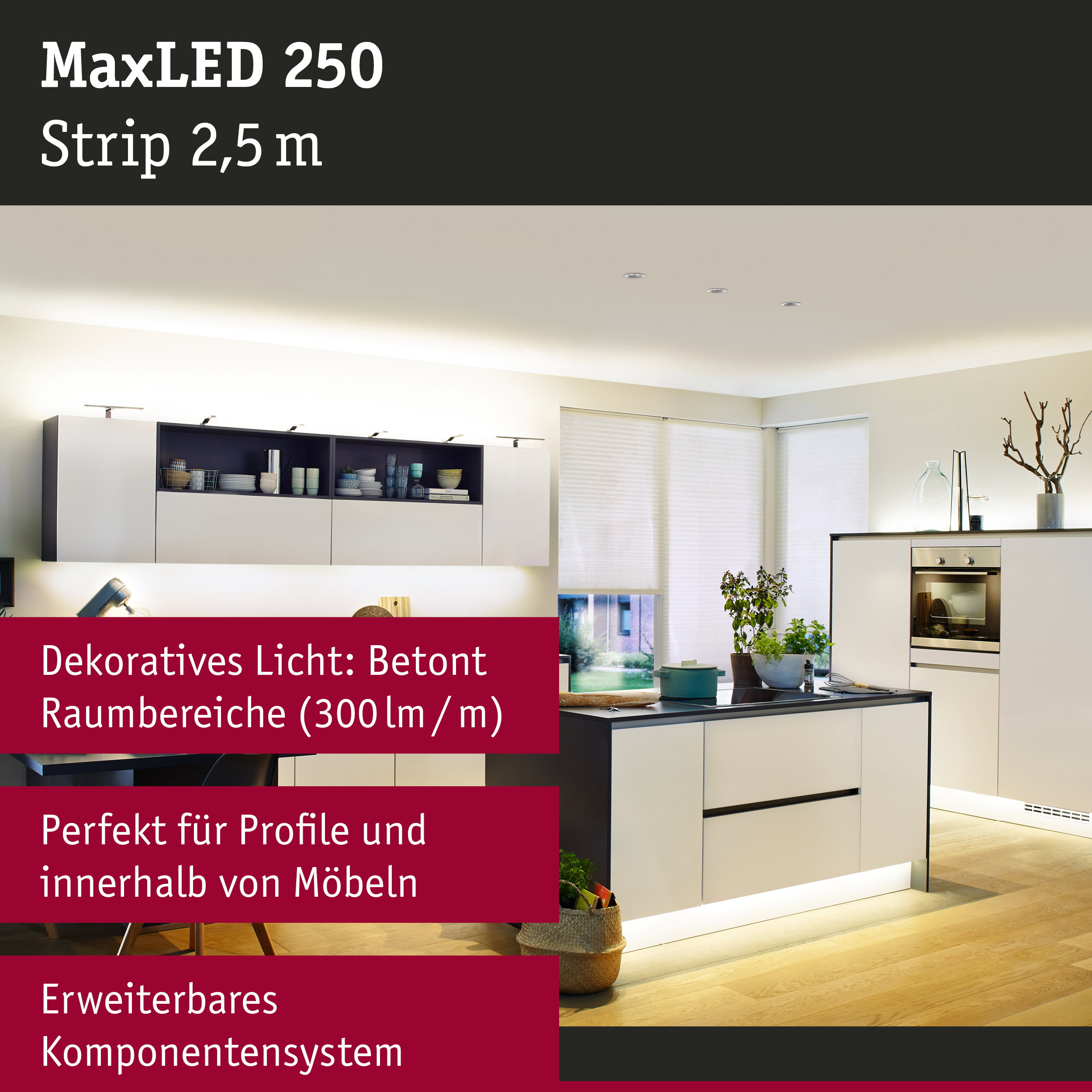 Moderne Küche mit integrierter LED-Beleuchtung an Schränken und Kochinsel, Text "MaxLED 250 Strip 2,5 m" oben.