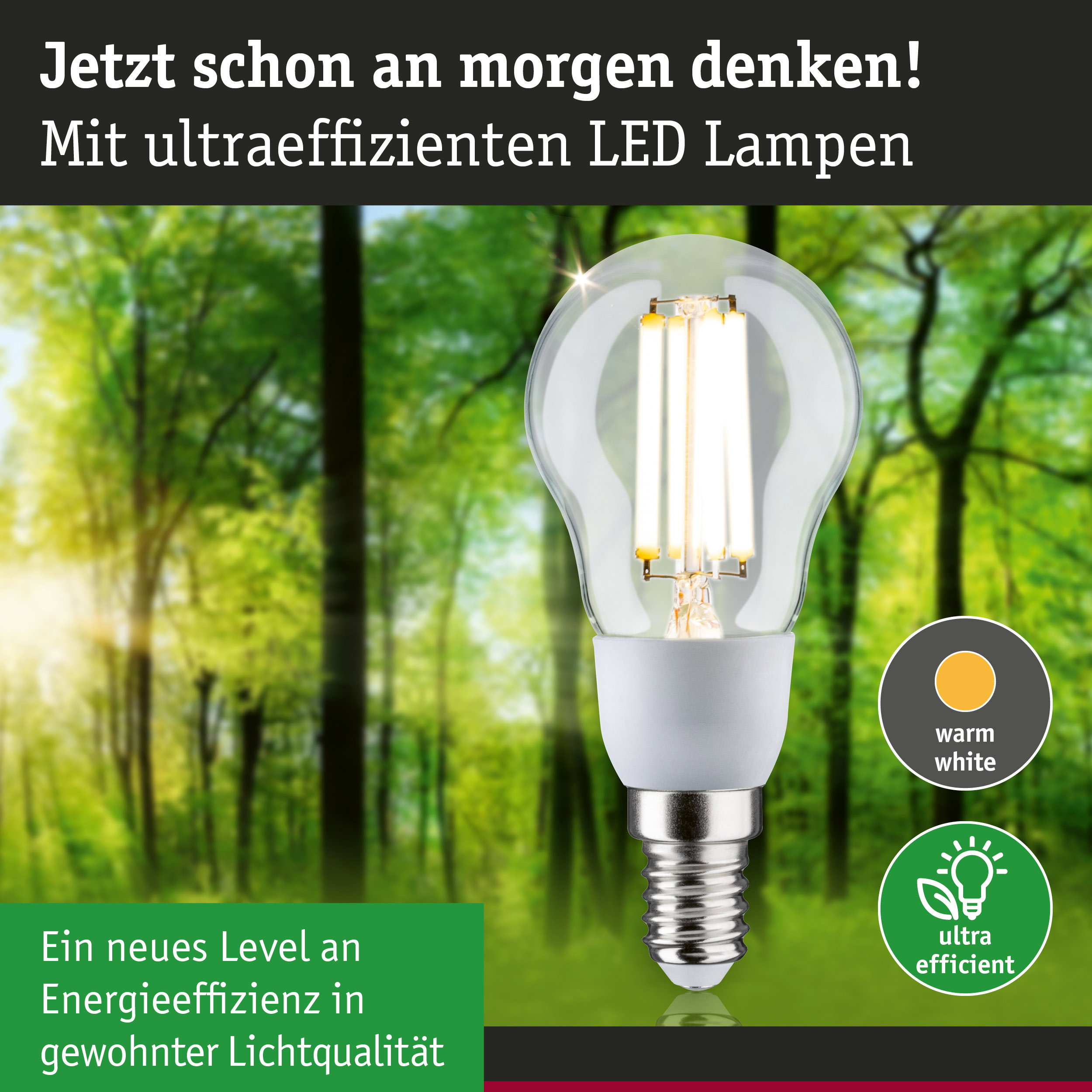 Eine Glühbirne leuchtet vor einem grünen Wald, mit Texten zu Energieeffizienz und warmweißem Licht.