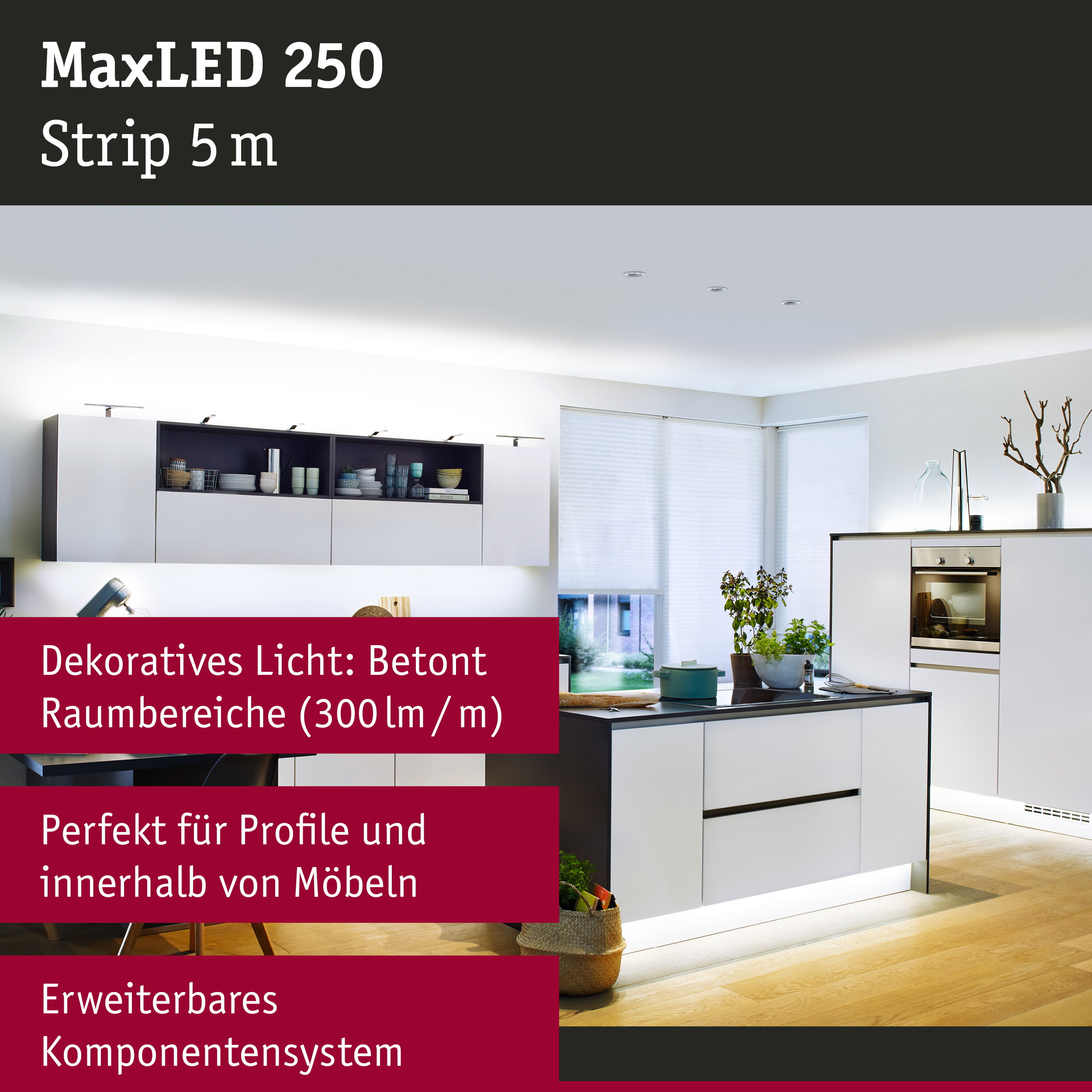 Cucina moderna con illuminazione LED integrata sotto i pensili e i battiscopa.