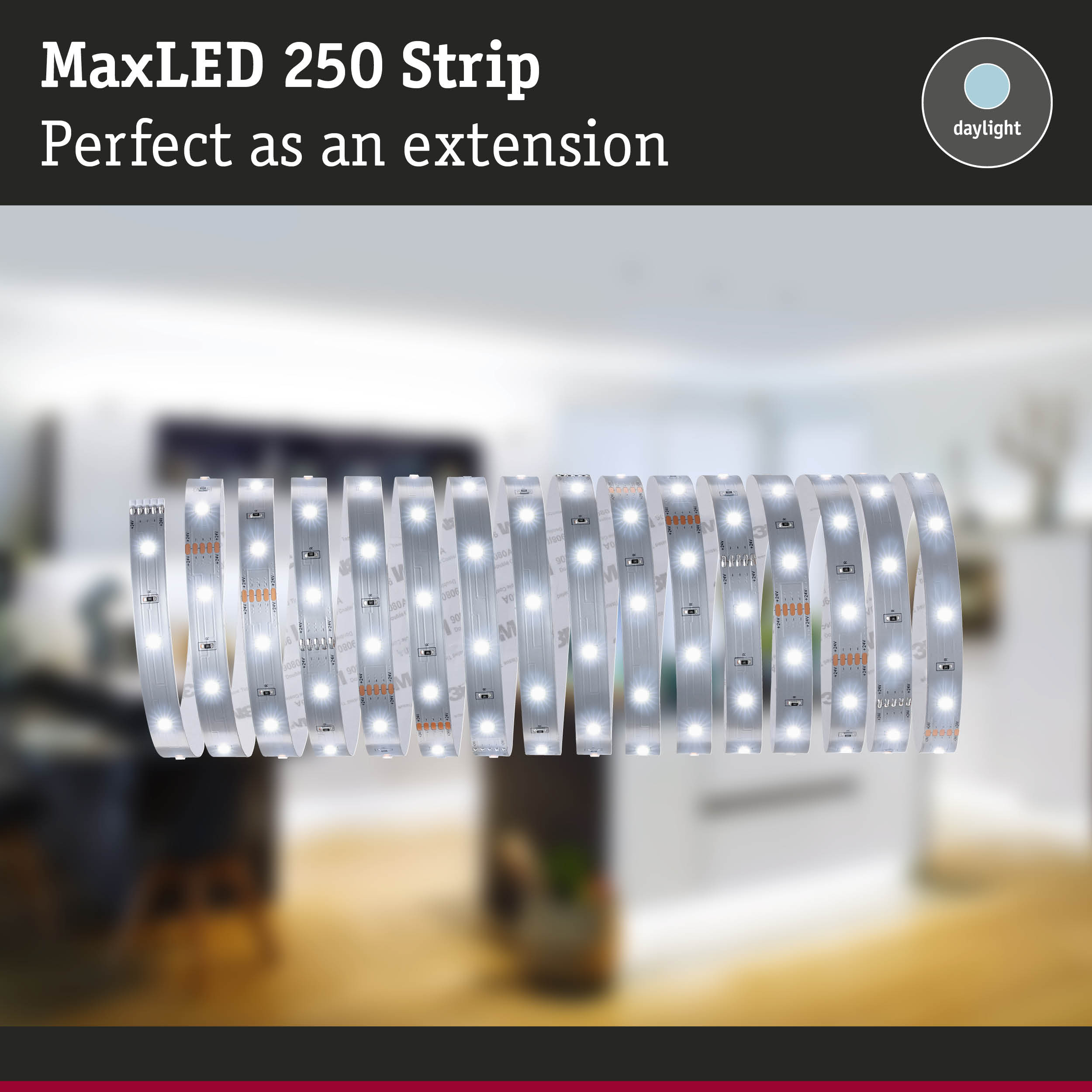 Striscia MaxLED 250 a luce diurna arrotolata su sfondo interno sfocato.