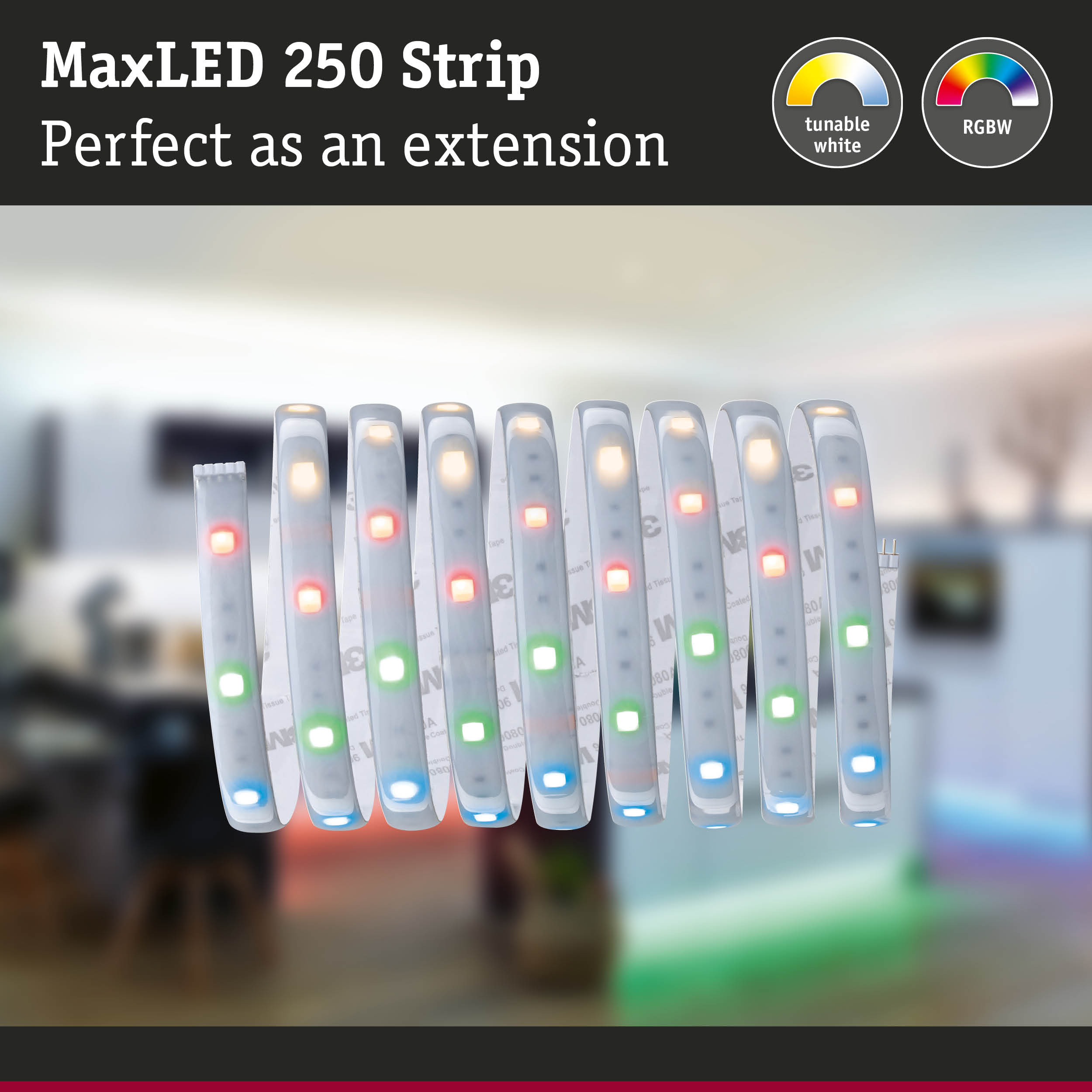 MaxLED 250 LED-Streifen, aufgewickelt vor einer verschwommenen Raumkulisse mit weißem und buntem Licht.