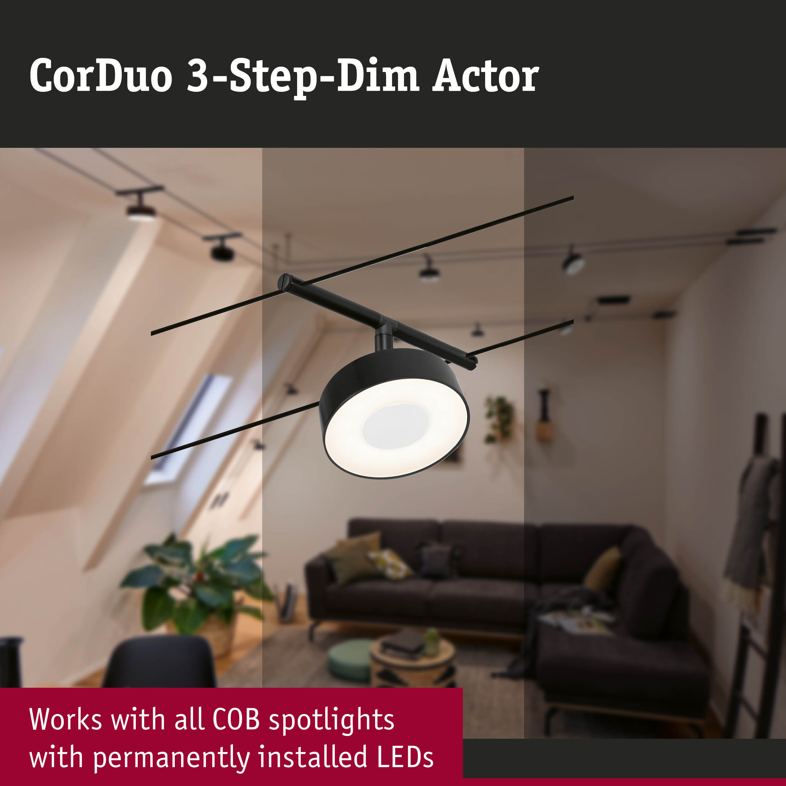 Czarny reflektor CorDuo 3-Step-Dim Actor wisi na kablach w salonie.