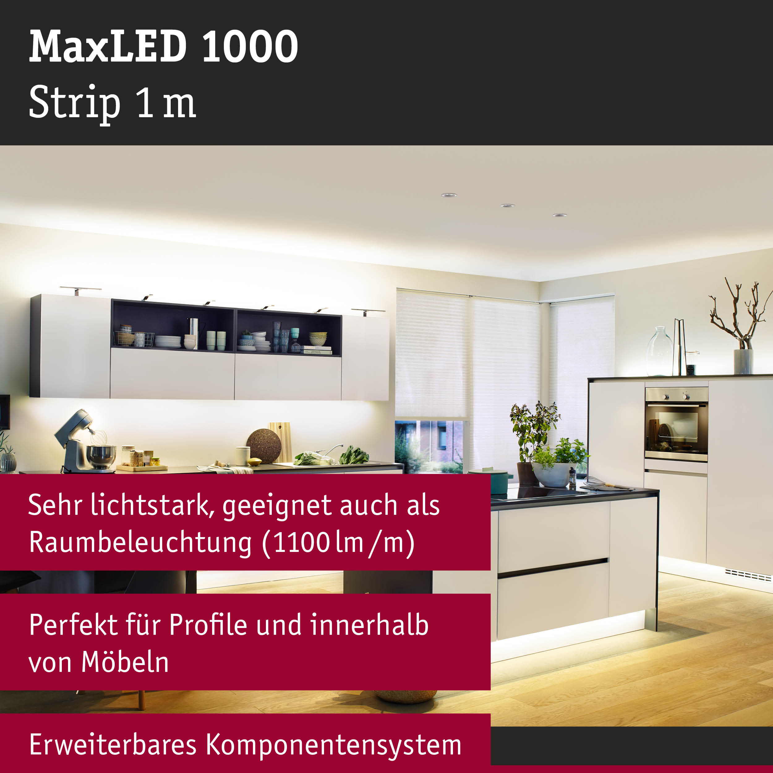 Moderne Küche mit integrierter LED-Beleuchtung unter Schränken und an der Kochinsel.