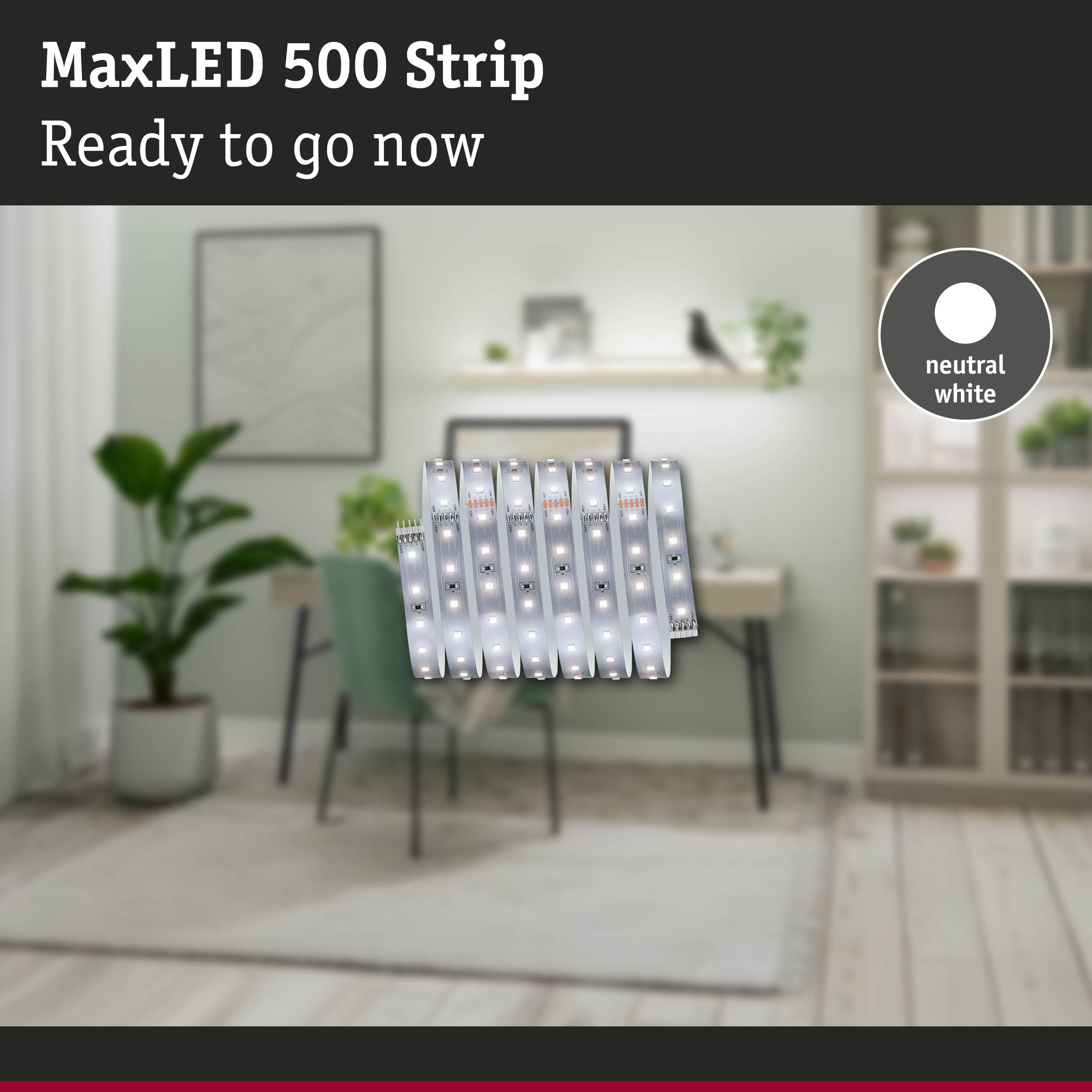 Aufgerollter MaxLED 500 LED-Streifen in neutralweiß vor einem hellen Wohnzimmer.