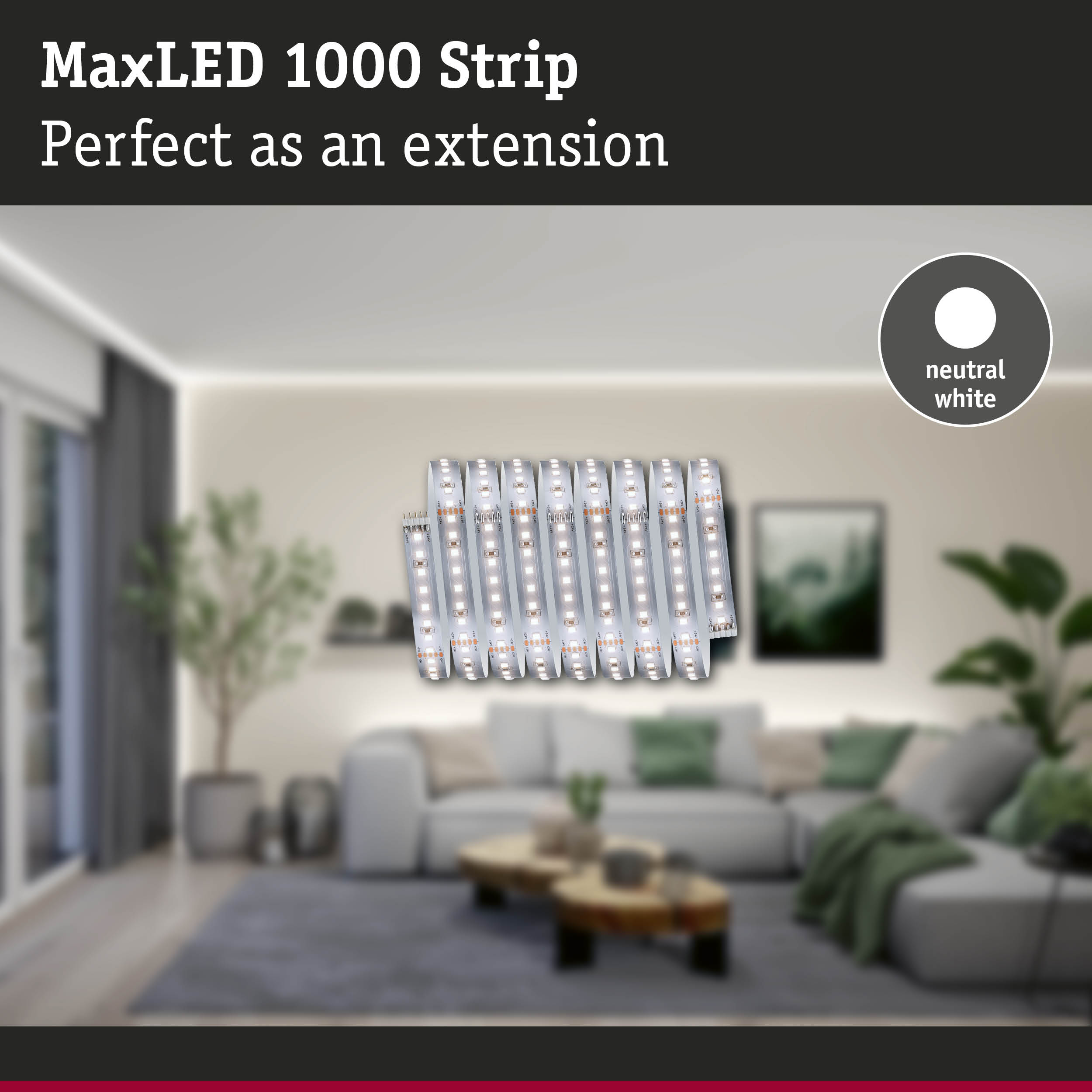 Ein aufgerollter MaxLED 1000 Streifen vor einem verschwommenen modernen Wohnzimmer zeigt neutralweißes Licht.